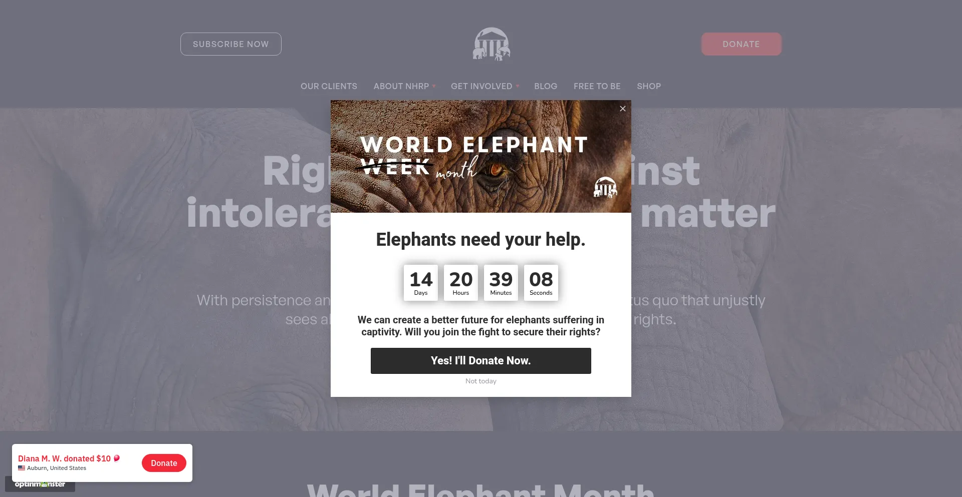 Website screenshot of Nonhumanrights.org