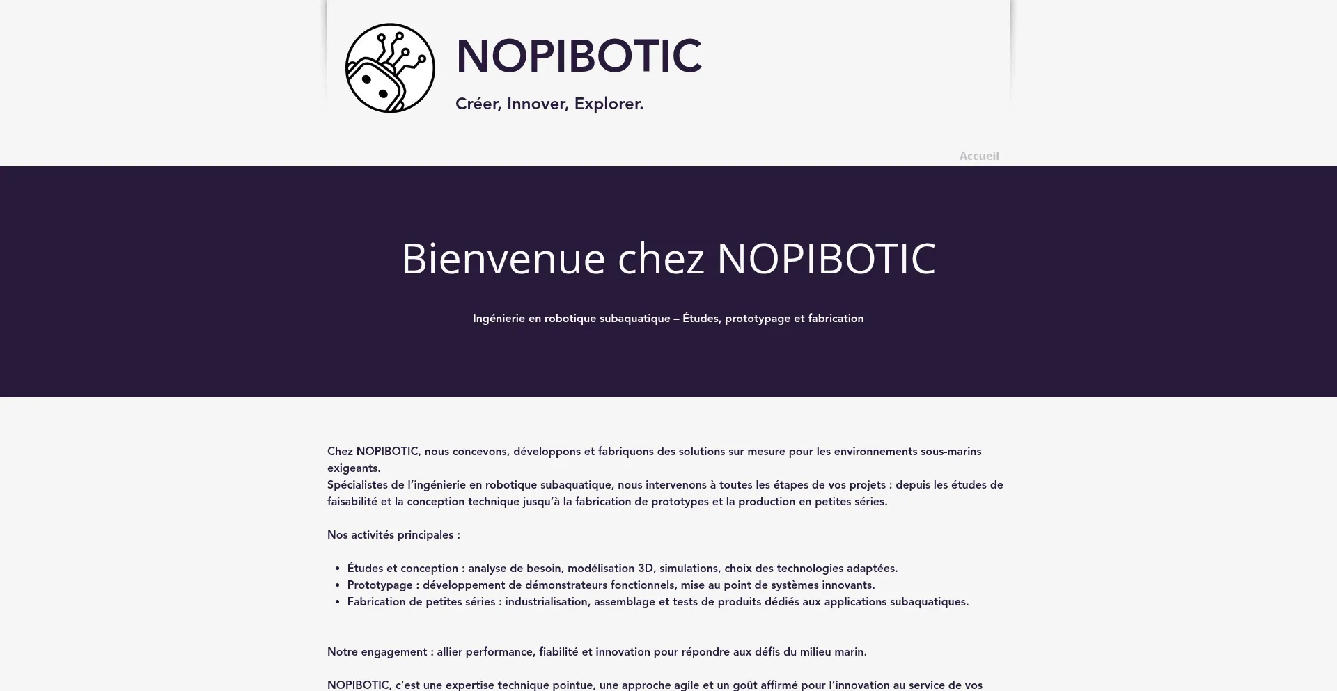 Website screenshot of Nopibotic.com