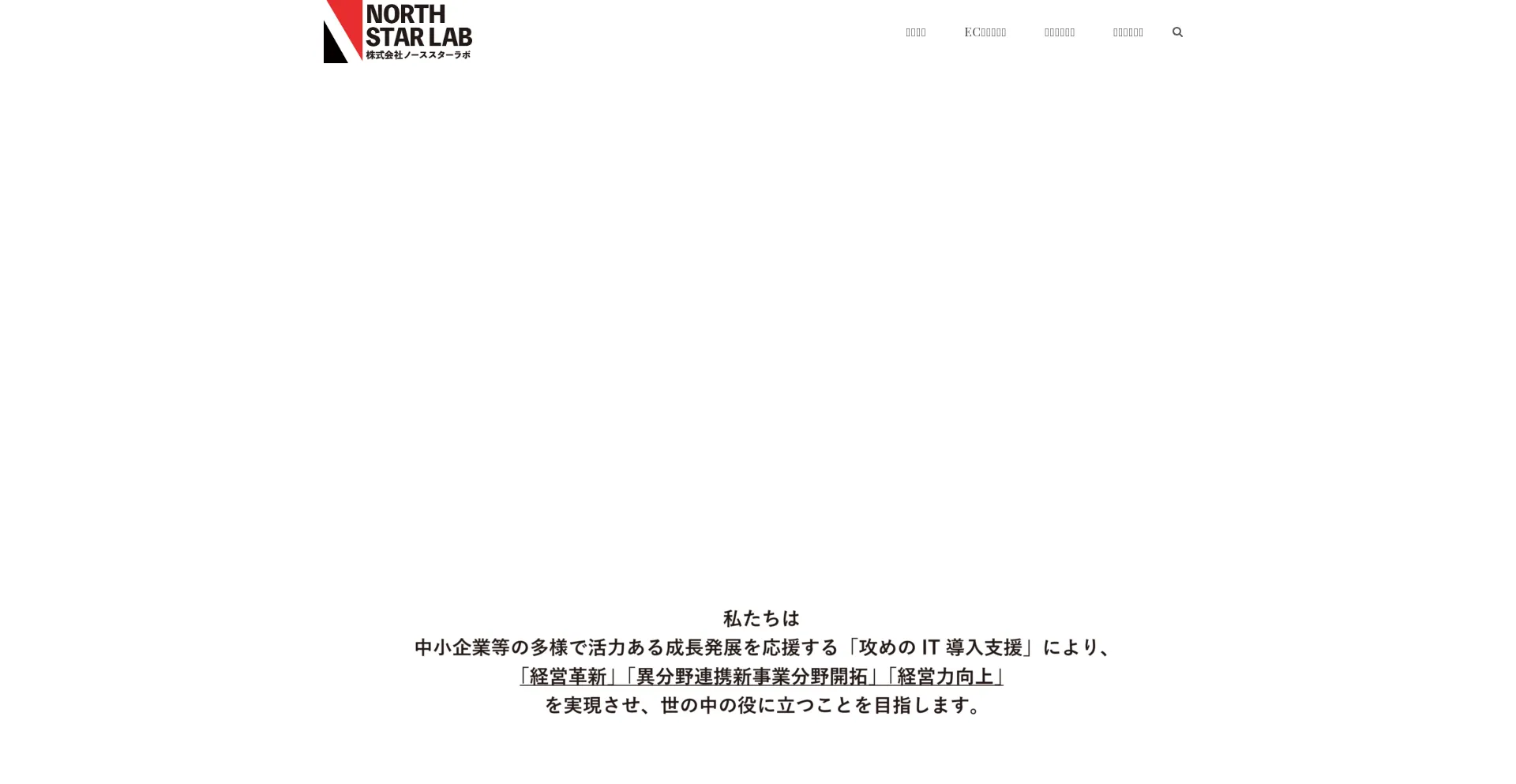 Website screenshot of Northstarlab.co.jp