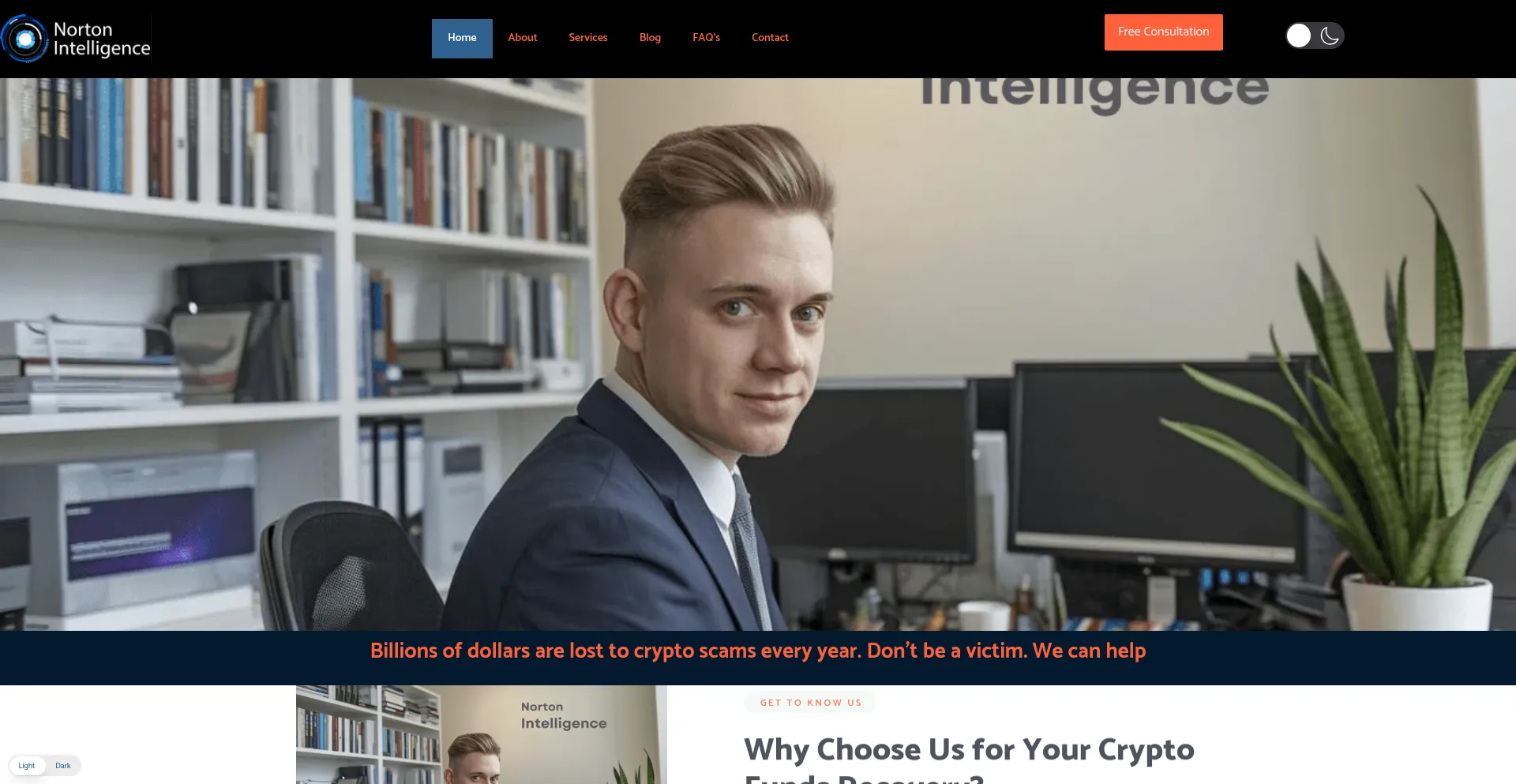 Nortonintelligence.co.uk