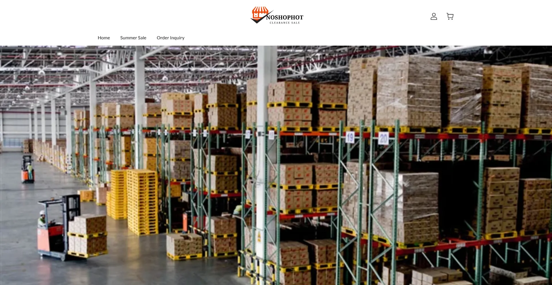 Website screenshot of Noshophot.com