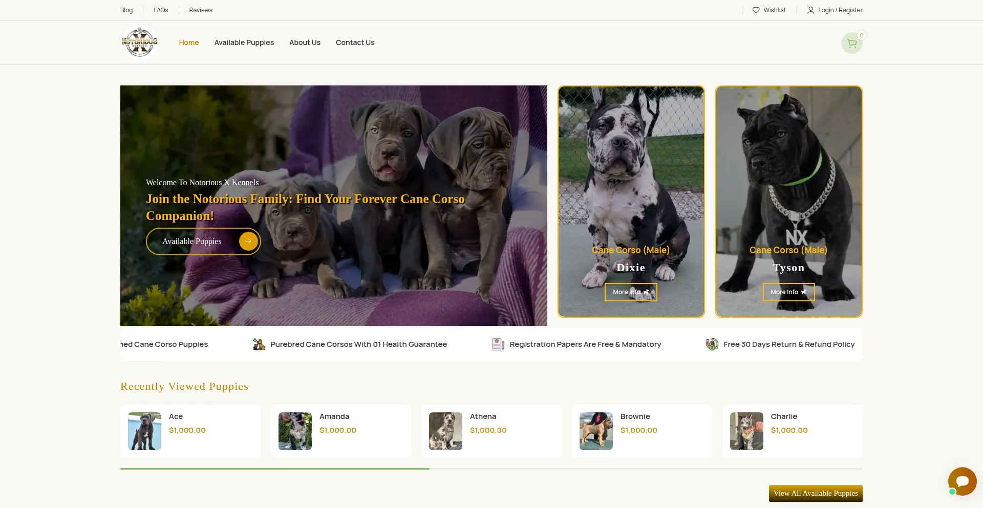 Website screenshot of Notorious-kennels.com