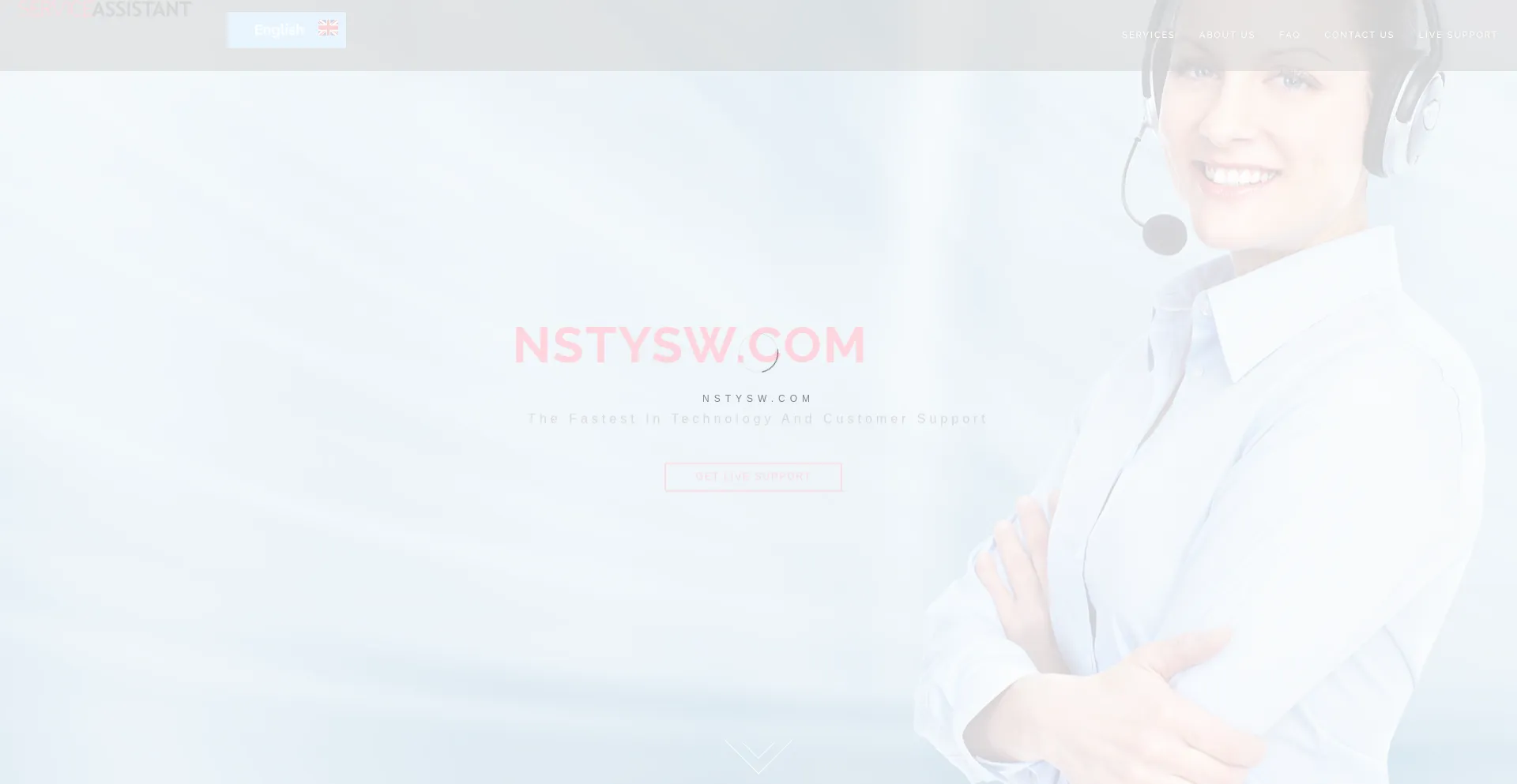 Nstysw.com