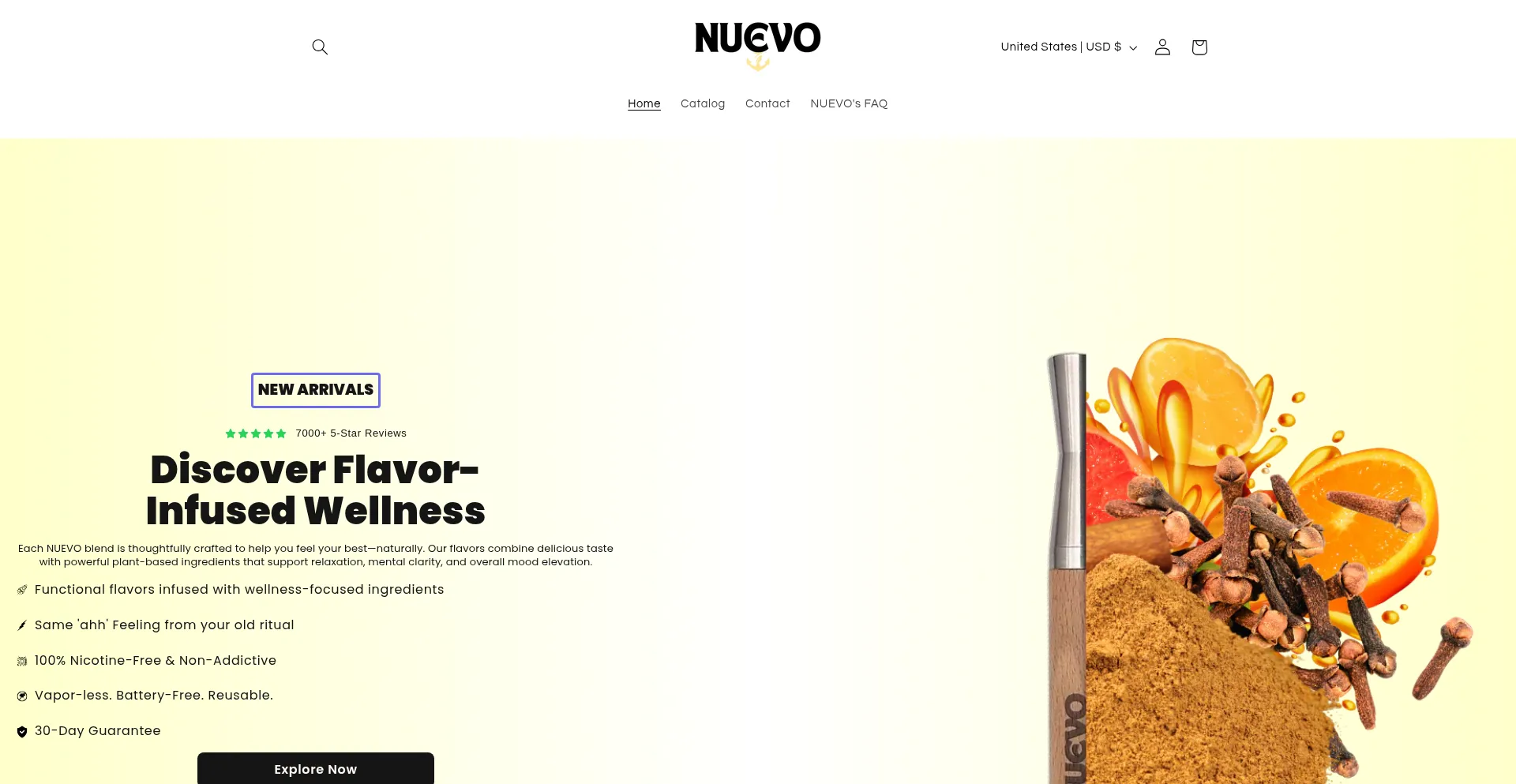 Website screenshot of Nuevocore.co