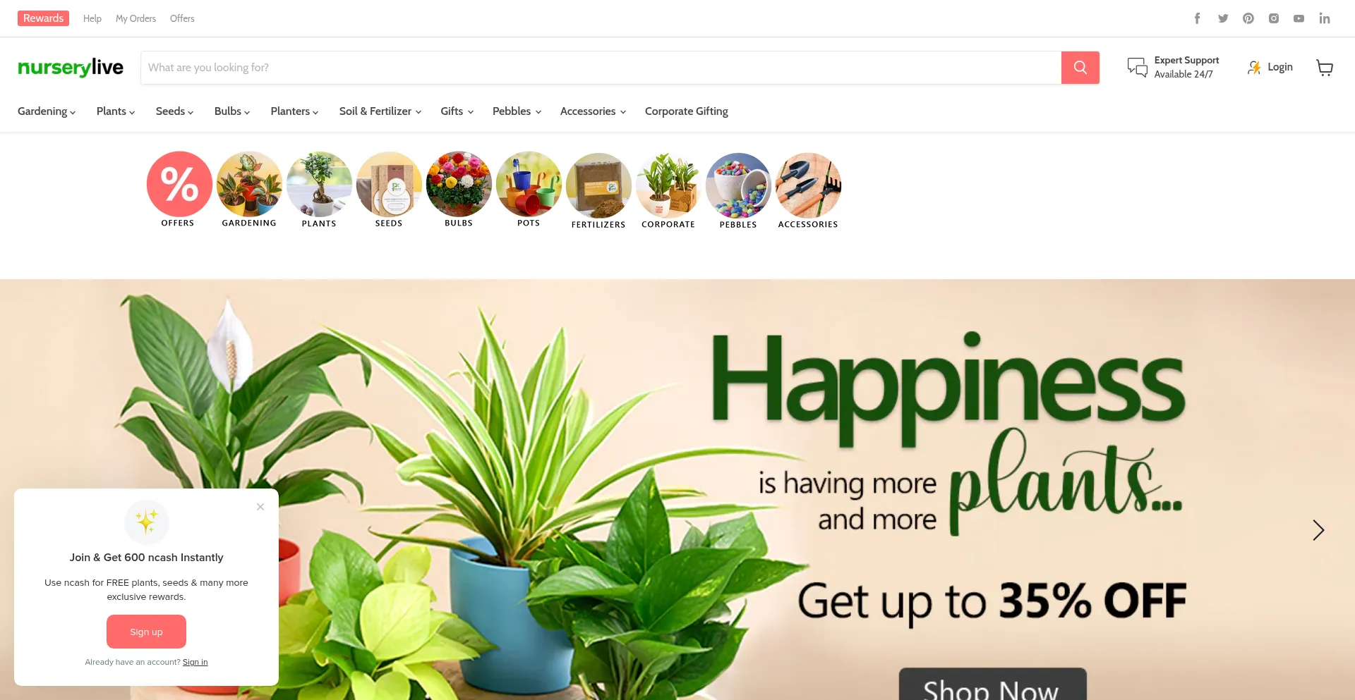 Nurserylive.com