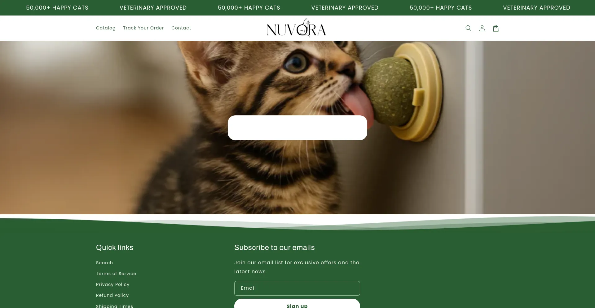 Website screenshot of Nuvoracompany.com