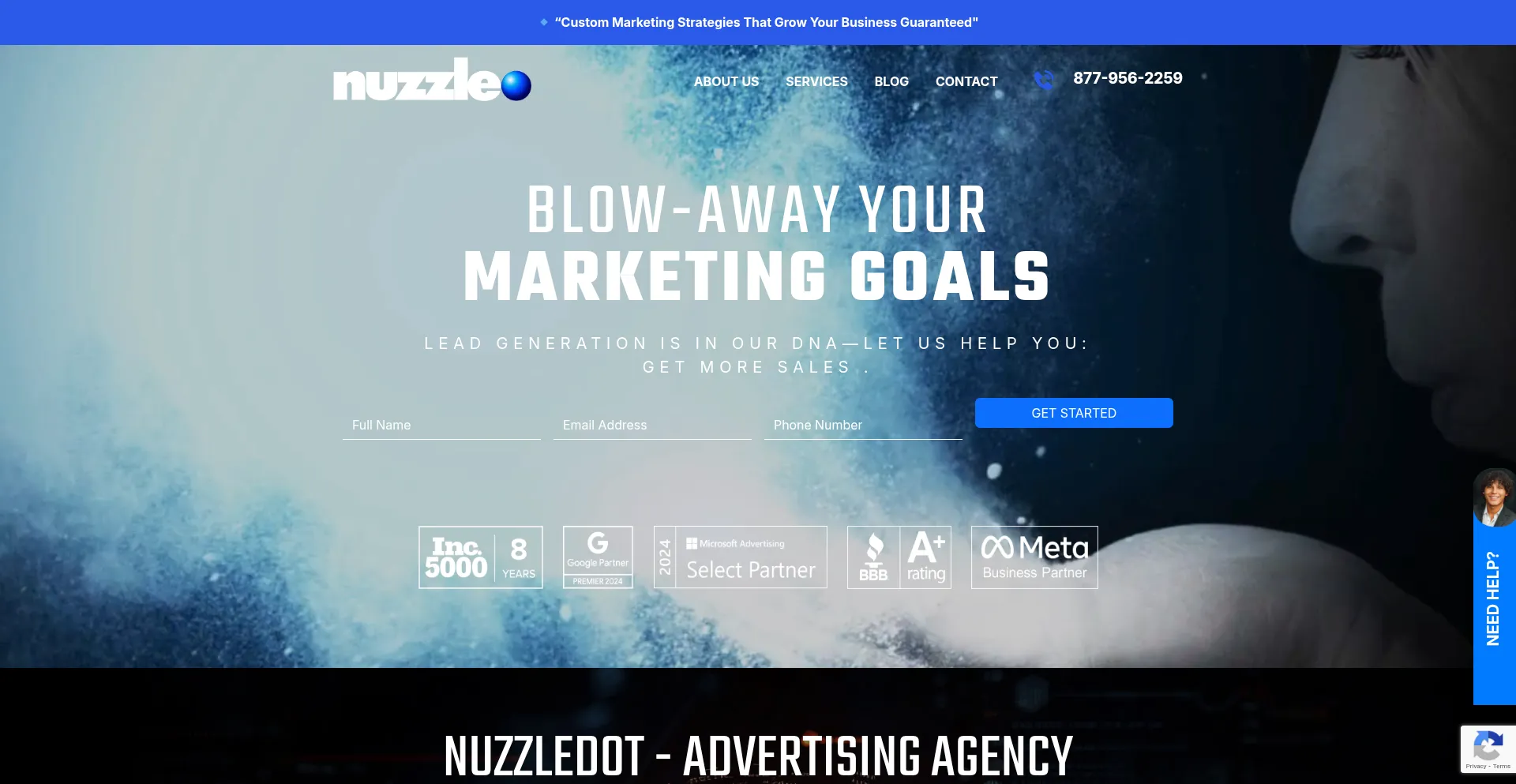 Website screenshot of Nuzzledot.com