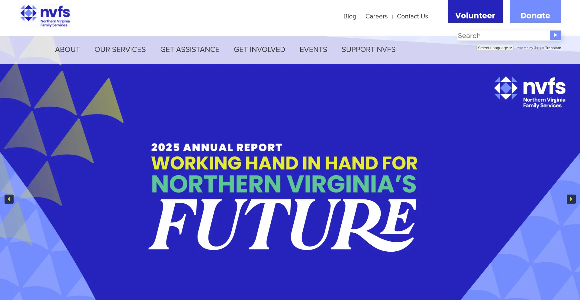 Nvfs.org