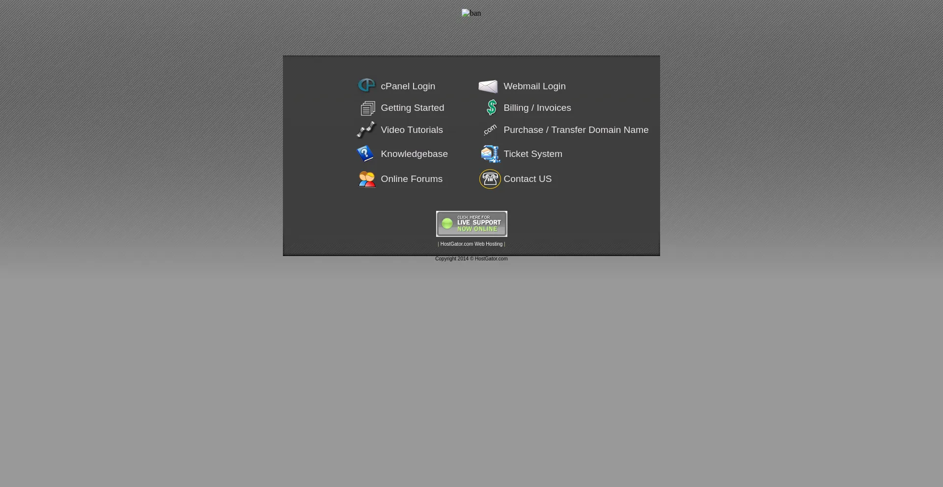 Website screenshot of Nysauae.com