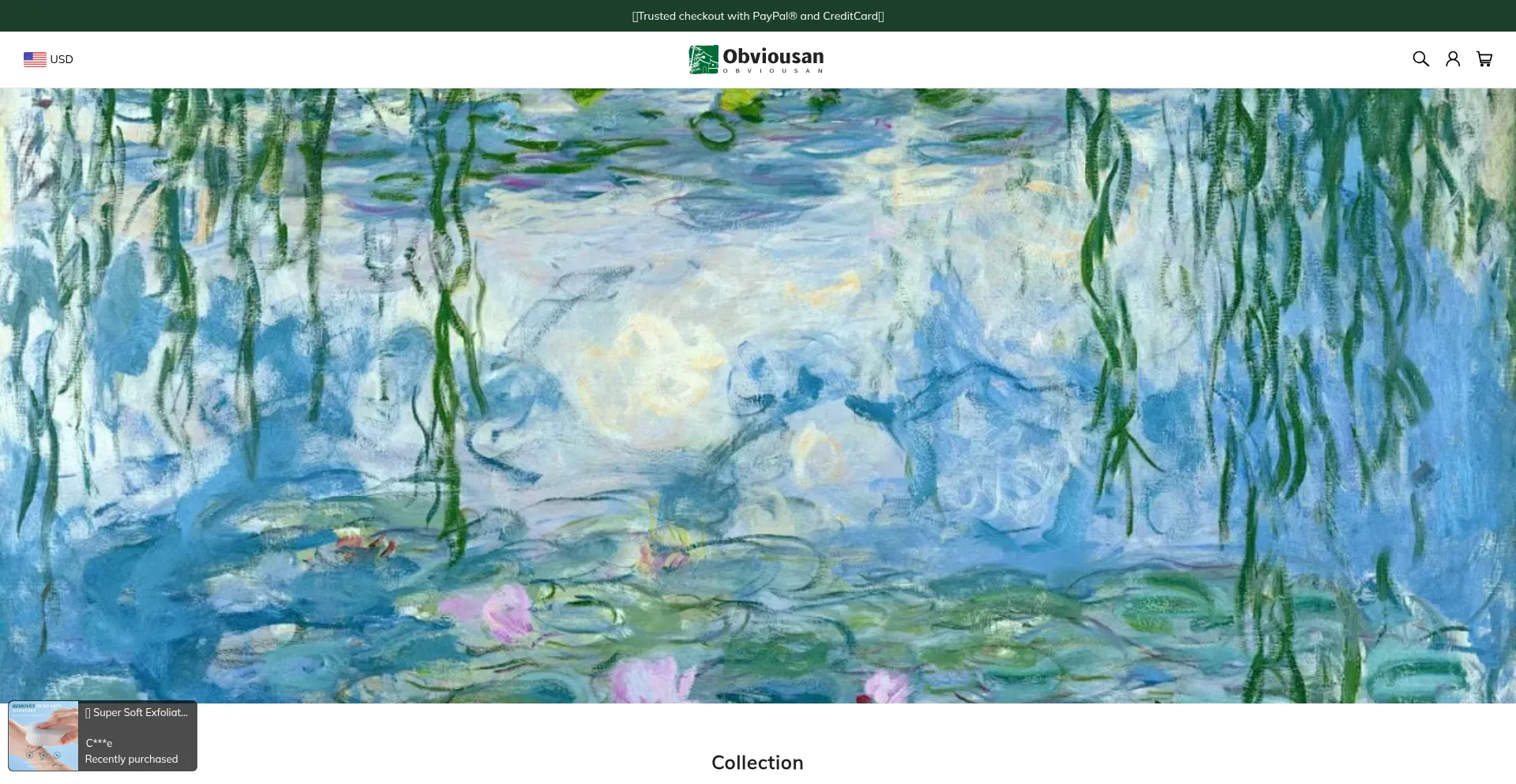 Website screenshot of Obviousan.com