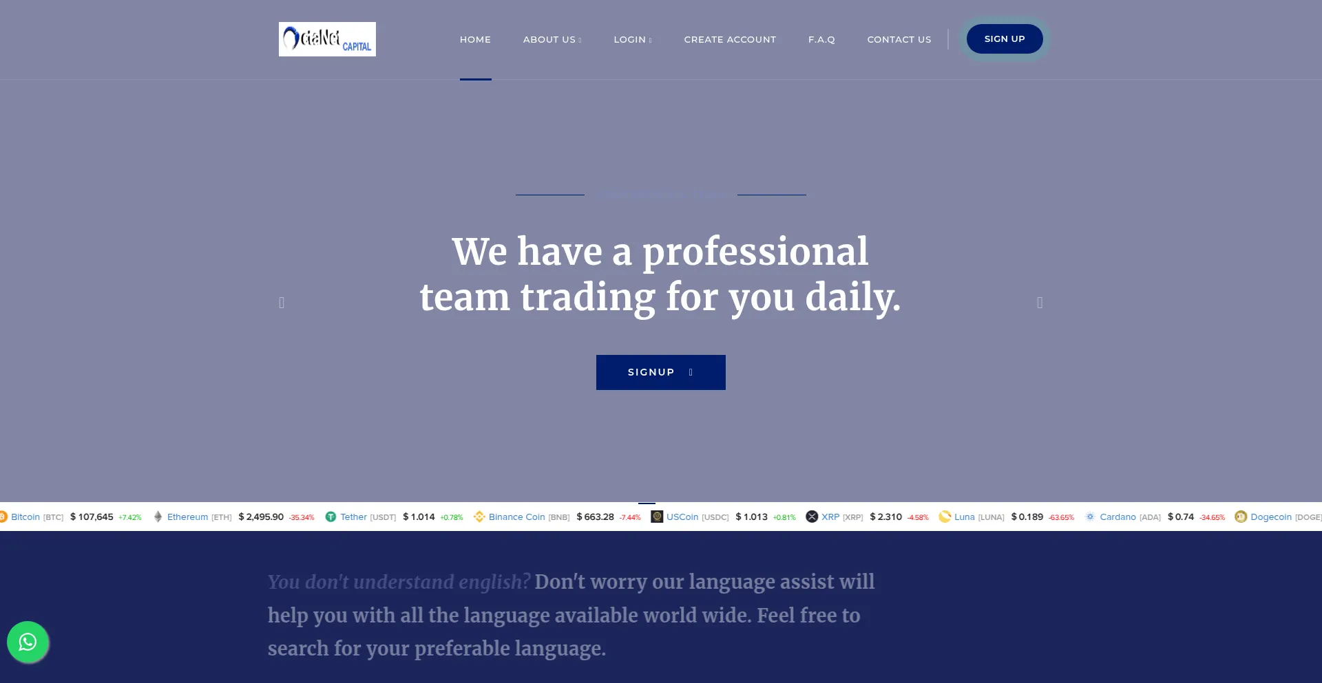 Website screenshot of Octanetcapitals.com