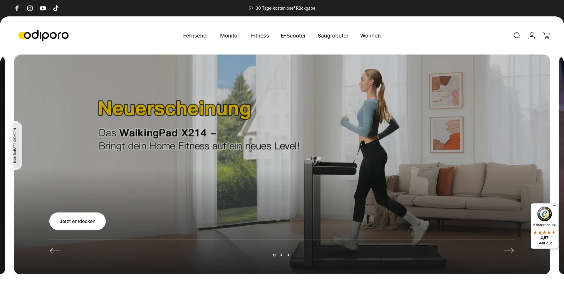 Website screenshot of Odiporo.de