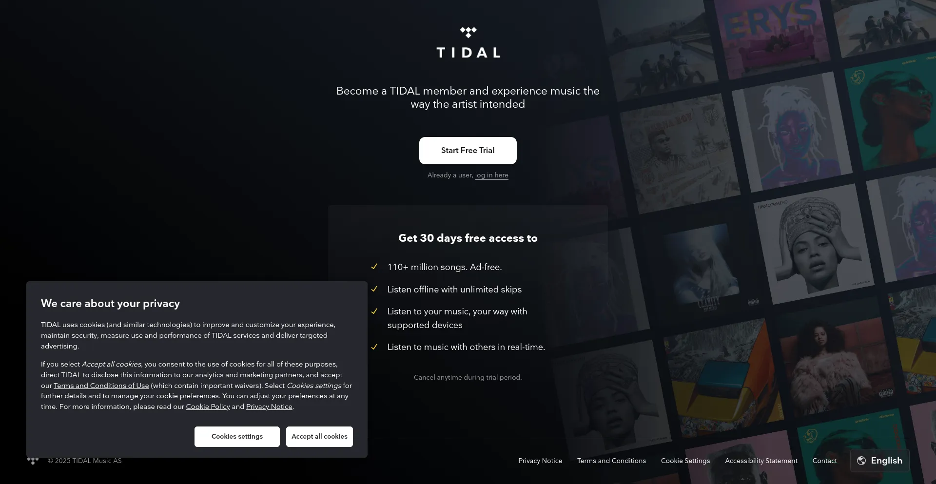Website screenshot of Offer.tidal.com