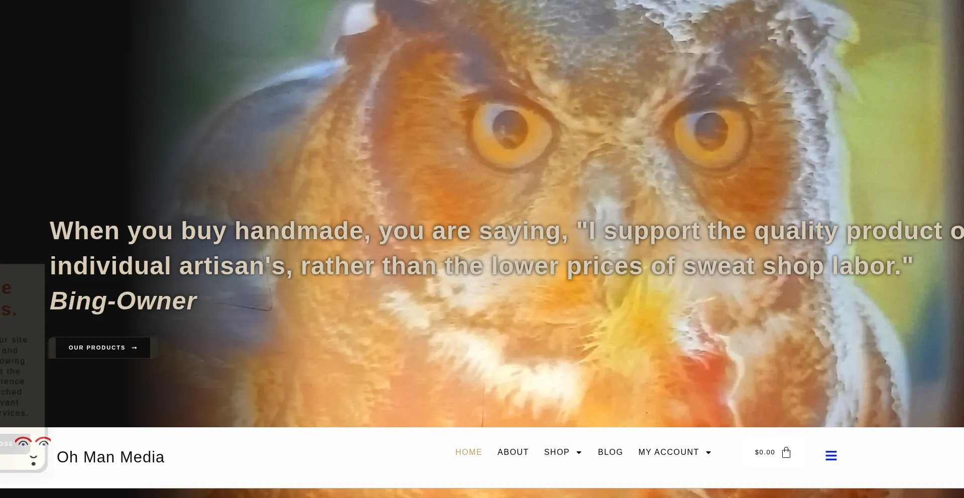Website screenshot of Ohmanmedia.com