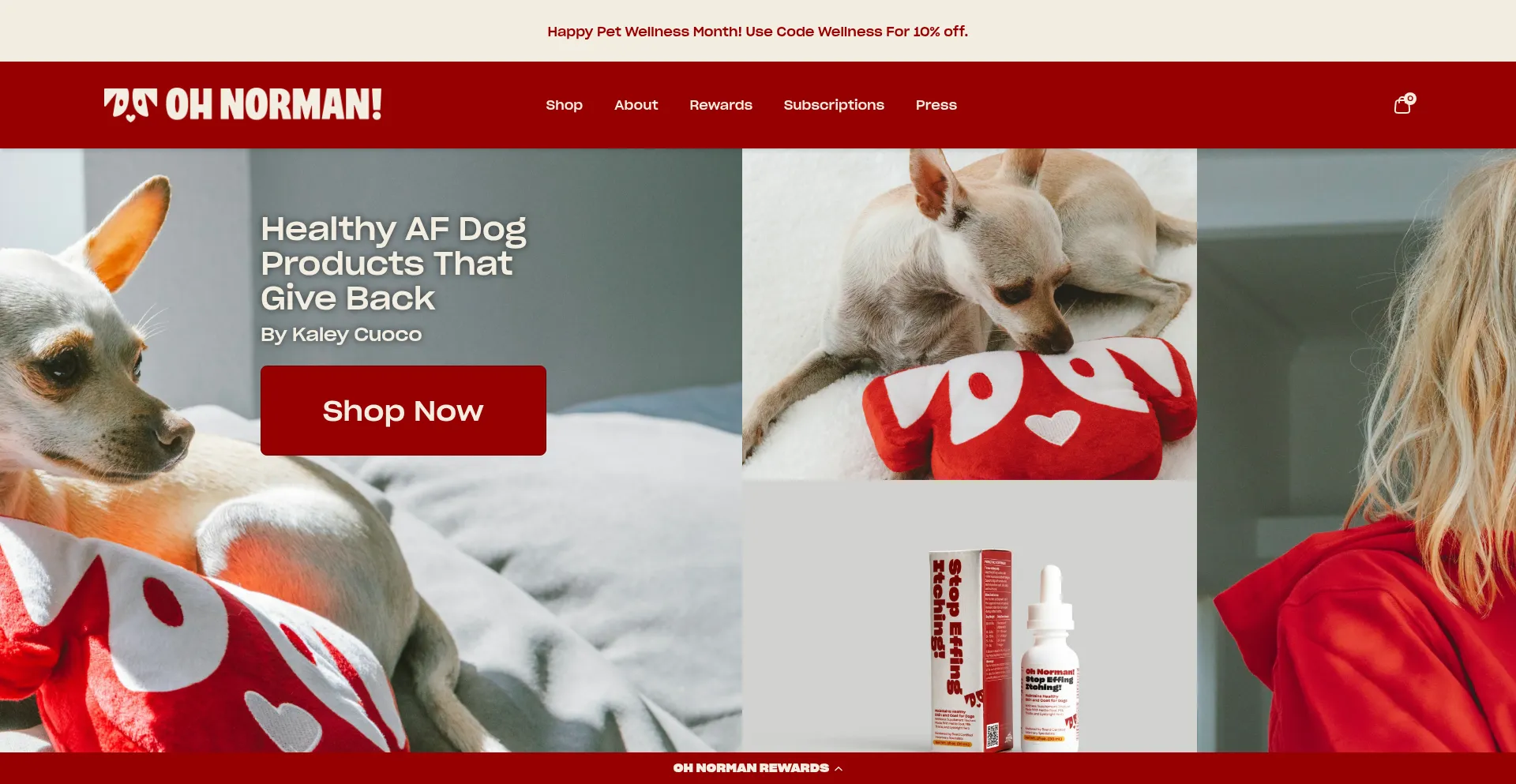 Ohnorman.com
