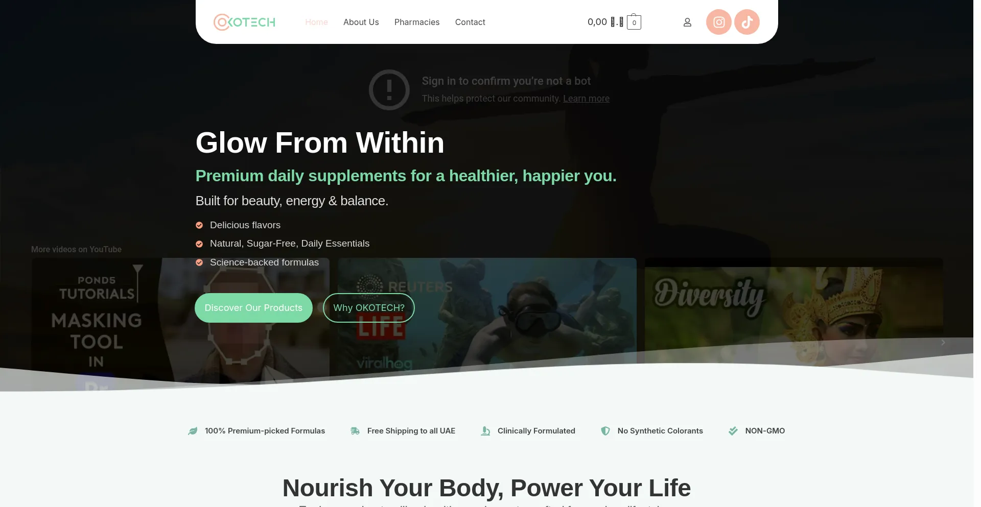 Website screenshot of Okotech.ae