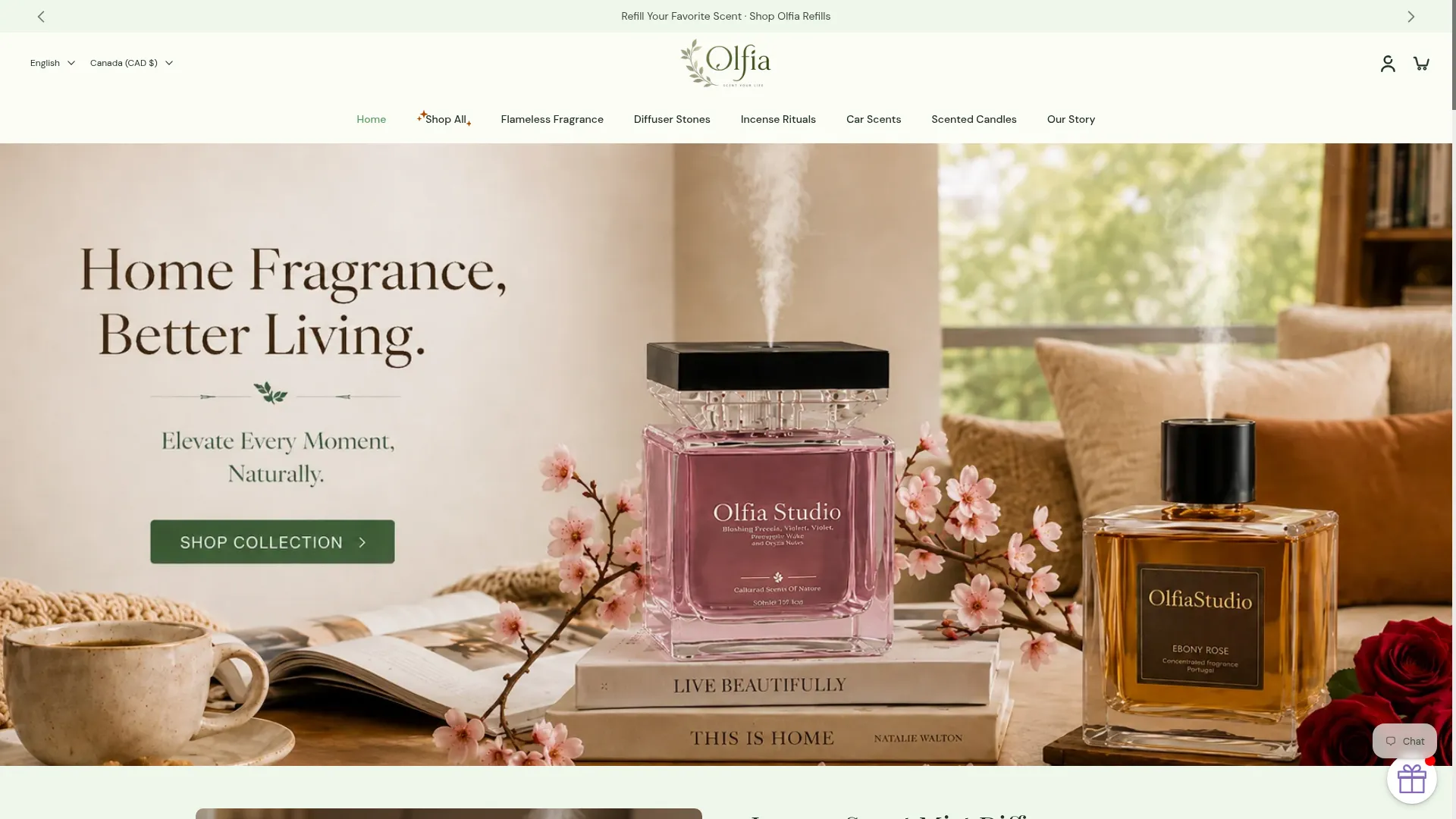 Olfiastudio.com