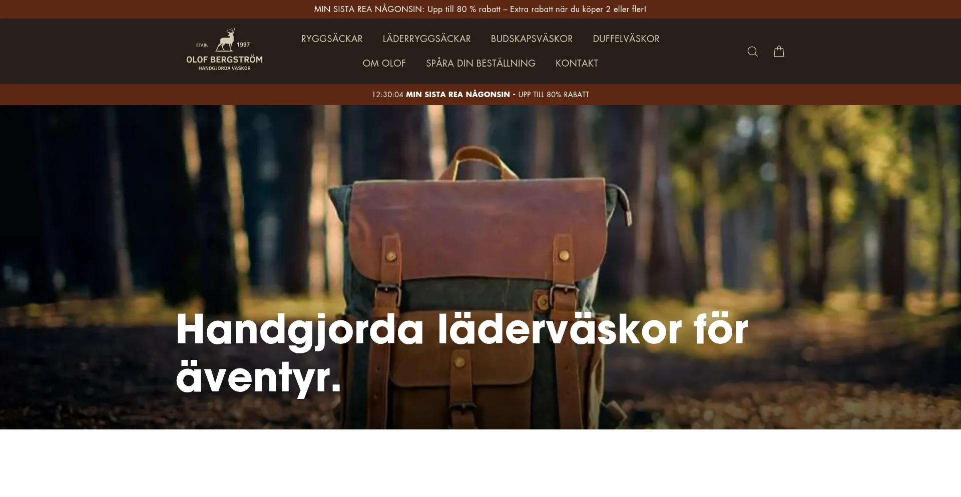 Website screenshot of Olof-bergstrom.se