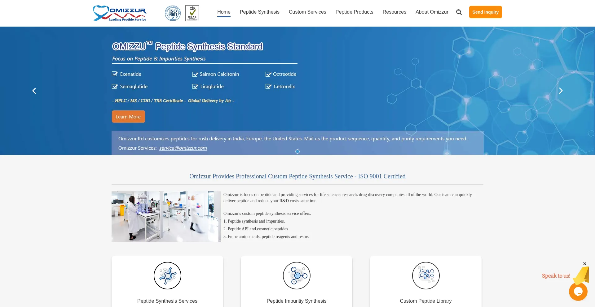Website screenshot of Omizzur.com