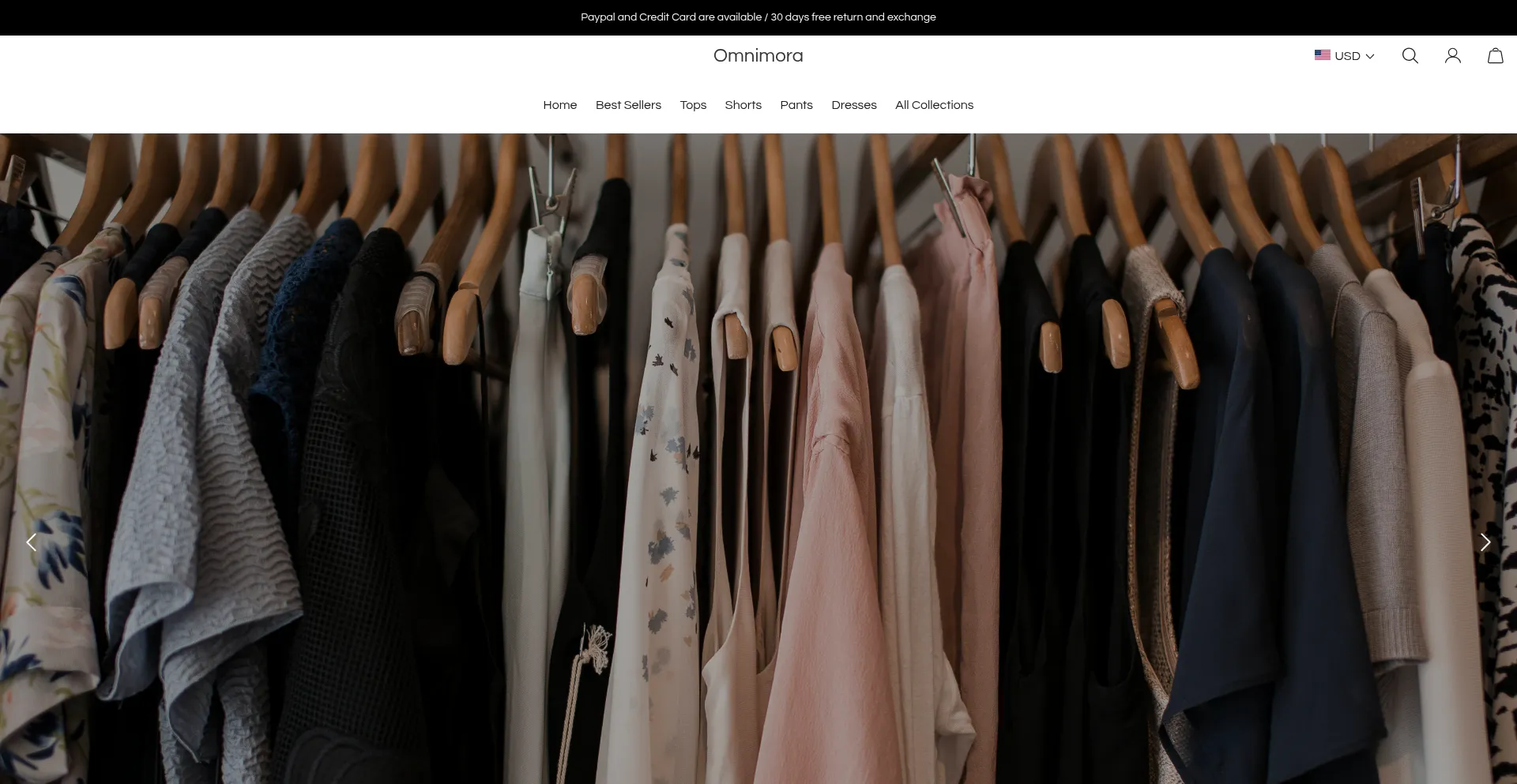Website screenshot of Omnimora.com