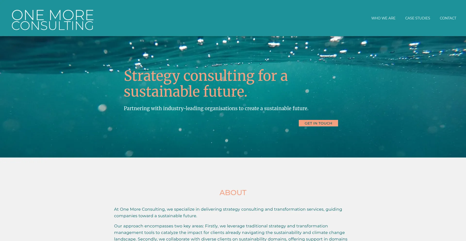 Onemoreconsulting.com