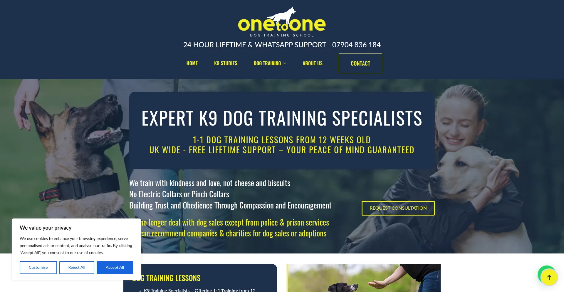 Onetoonedogtrainingschool.co.uk