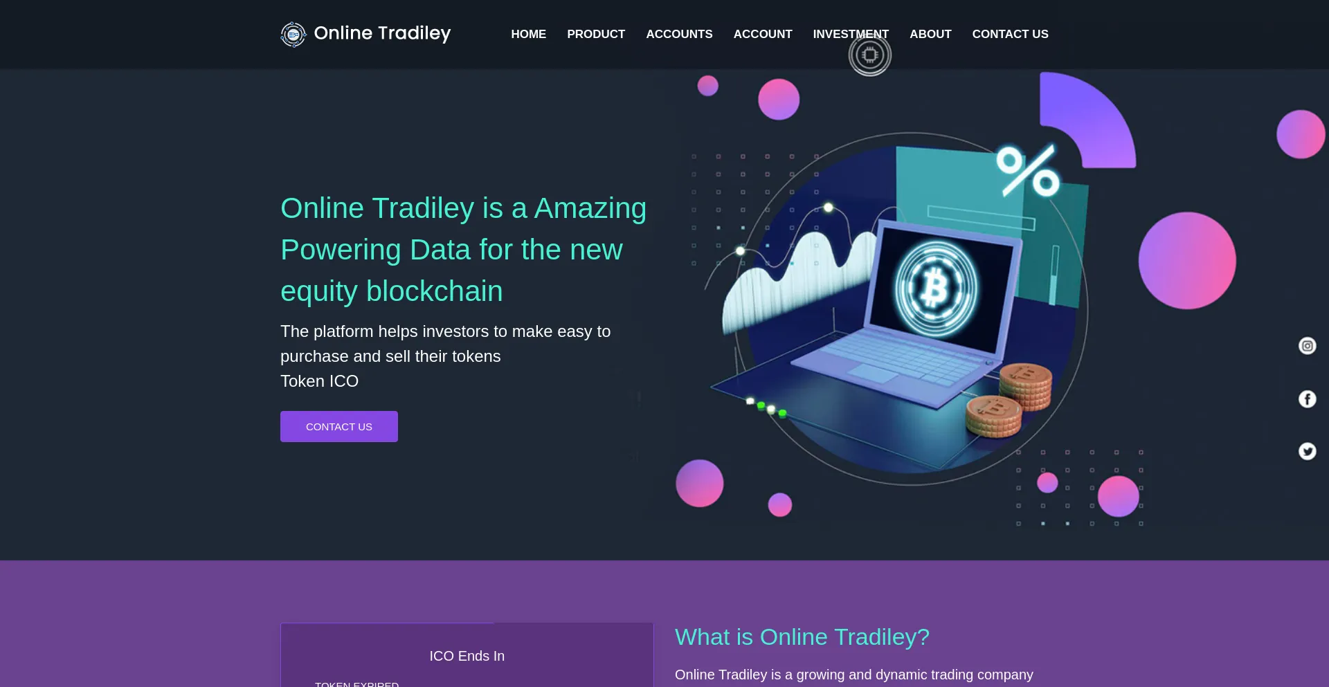 Website screenshot of Onlinetradiley.com
