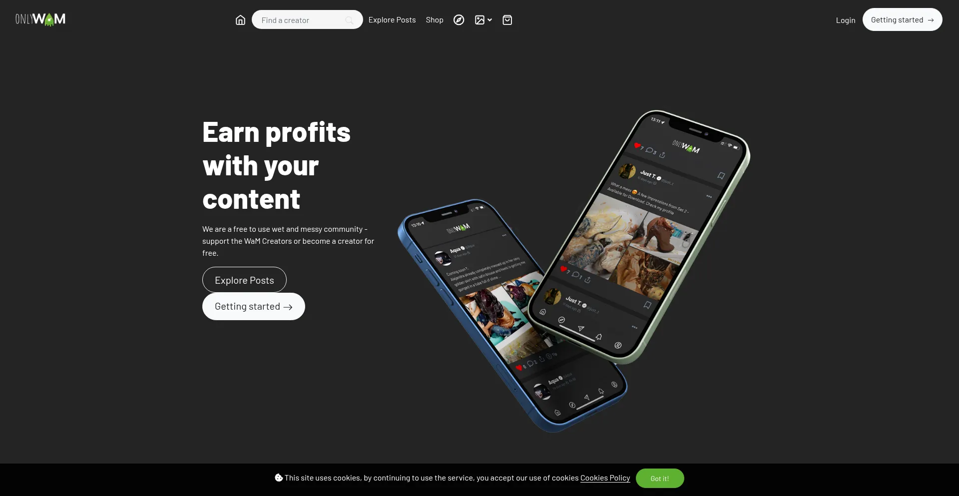 Onlywam.com