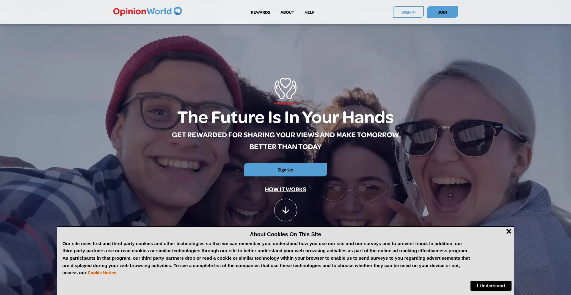 Opinionworld.com