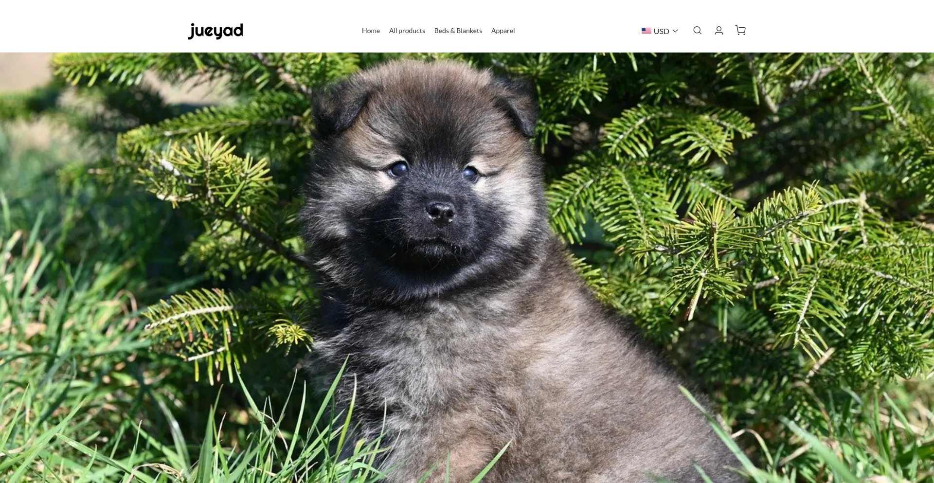 Opiudsa.com