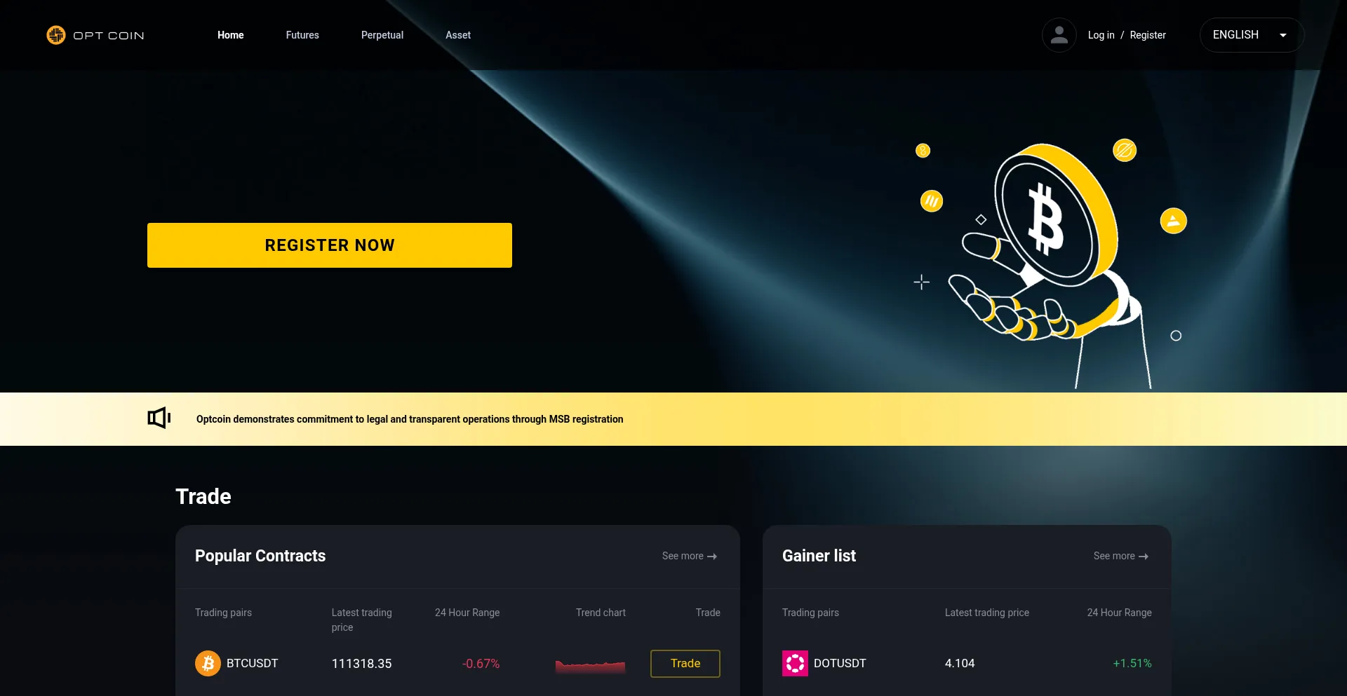 Website screenshot of Optcoinss.com