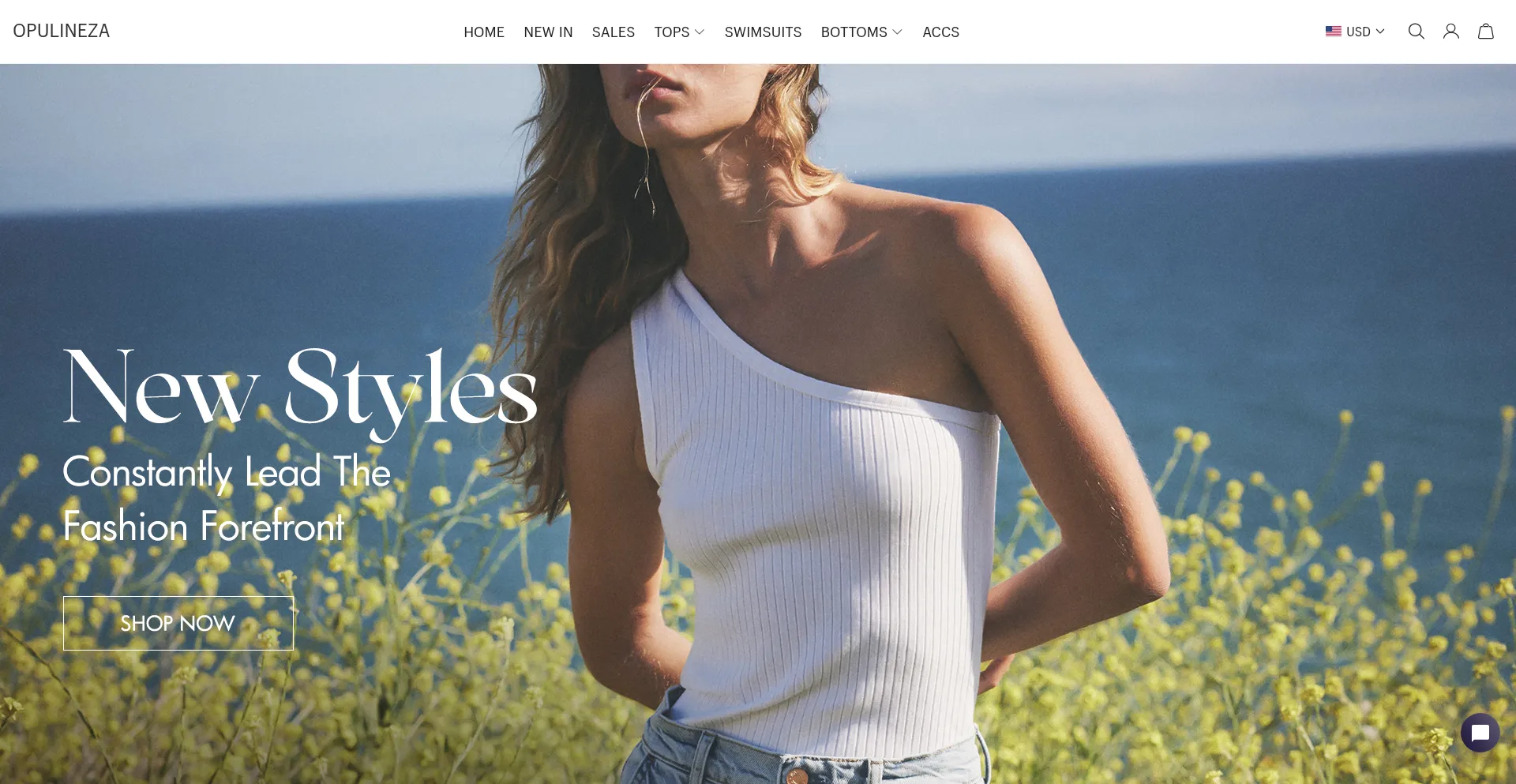 Website screenshot of Opulineza.com