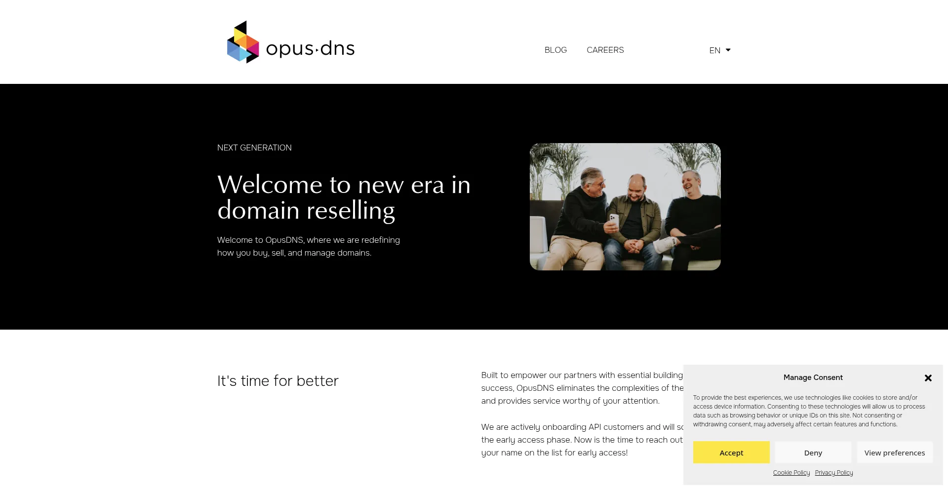 Website screenshot of Opusdns.com