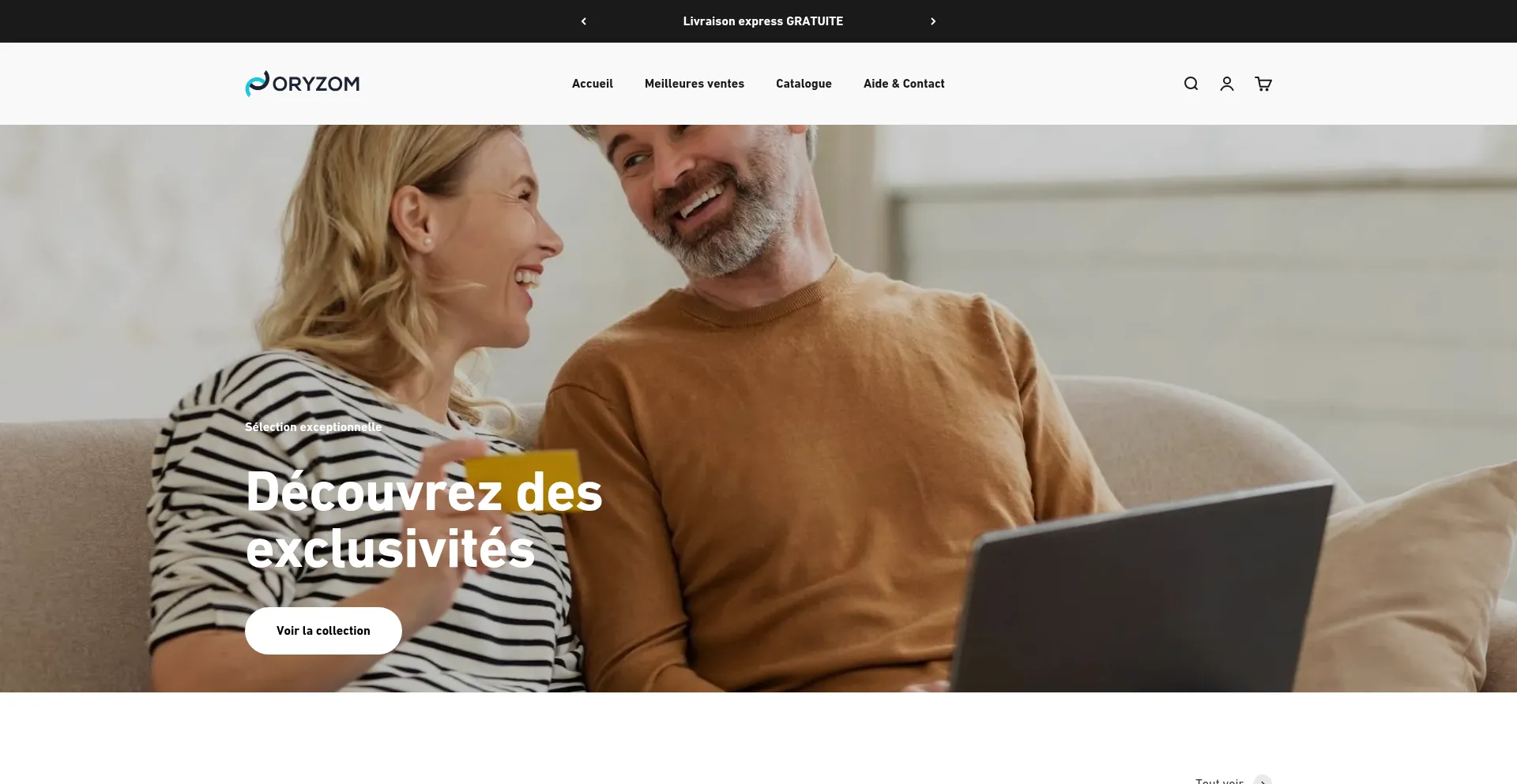 Website screenshot of Oryzom.fr