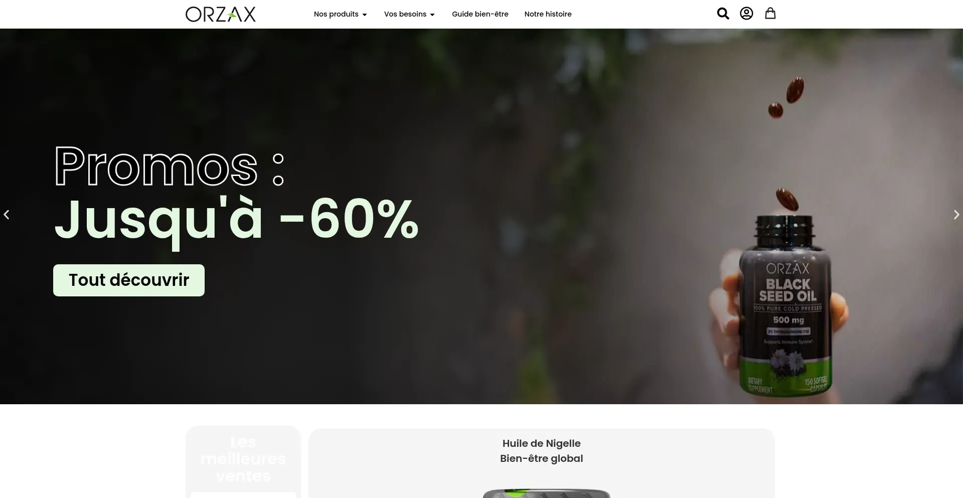 Website screenshot of Orzax.fr