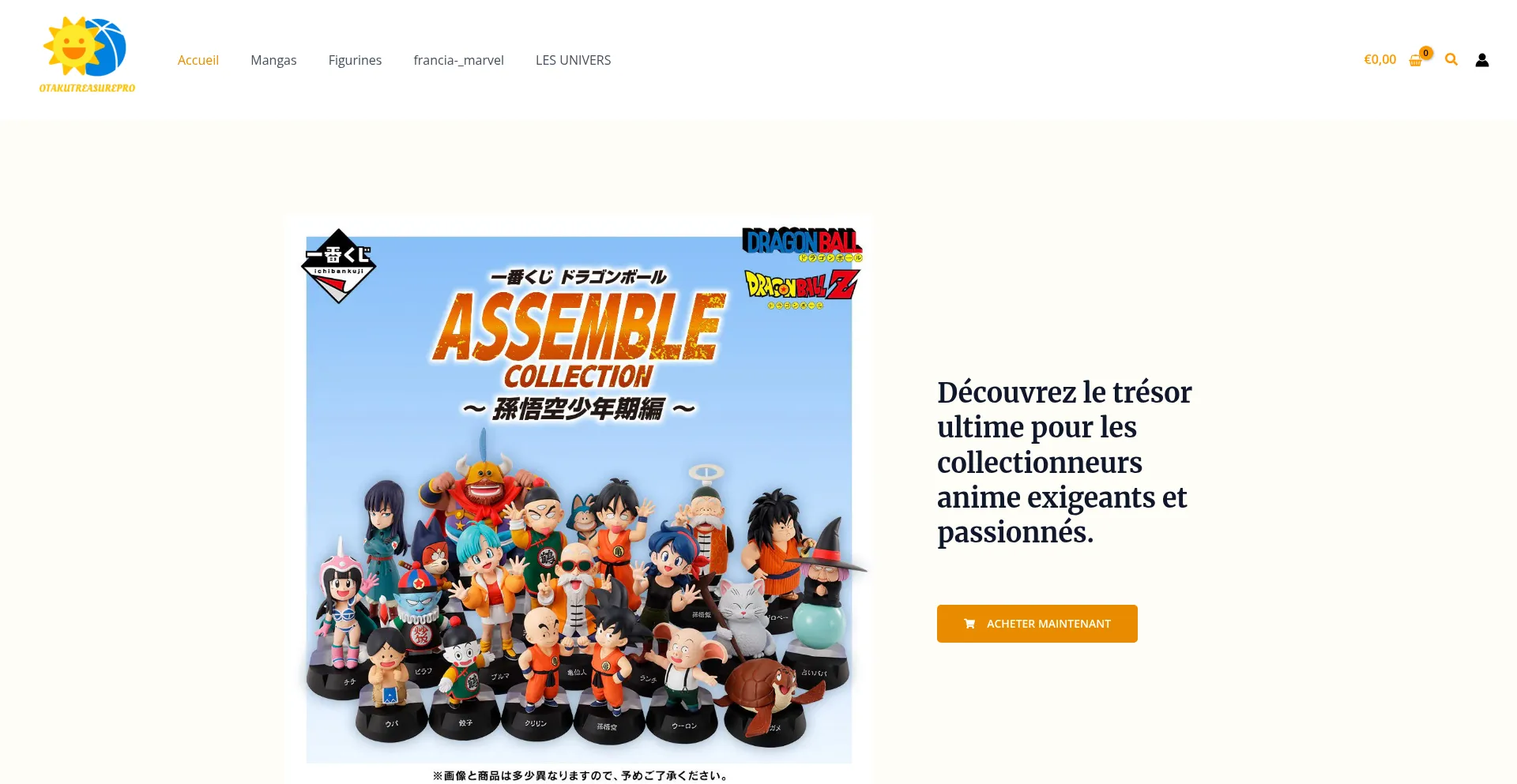 Otakutreasurepro.com