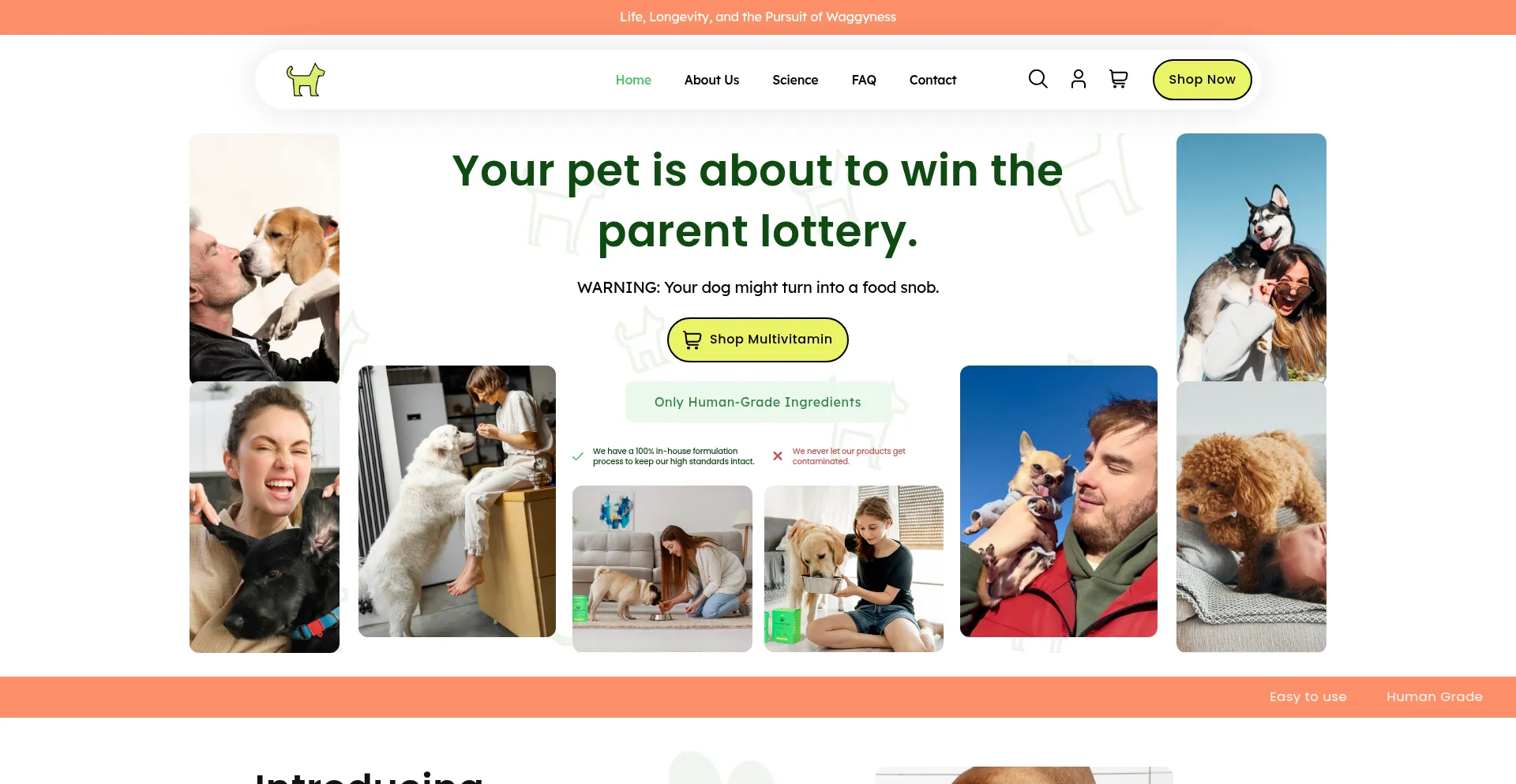 Website screenshot of Otherhalfpet.com