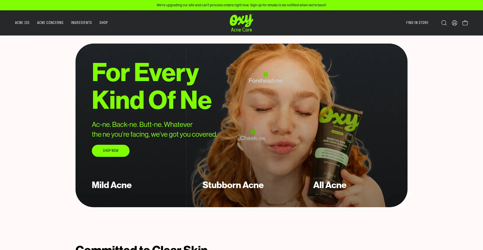 Website screenshot of Oxyacnecare.com