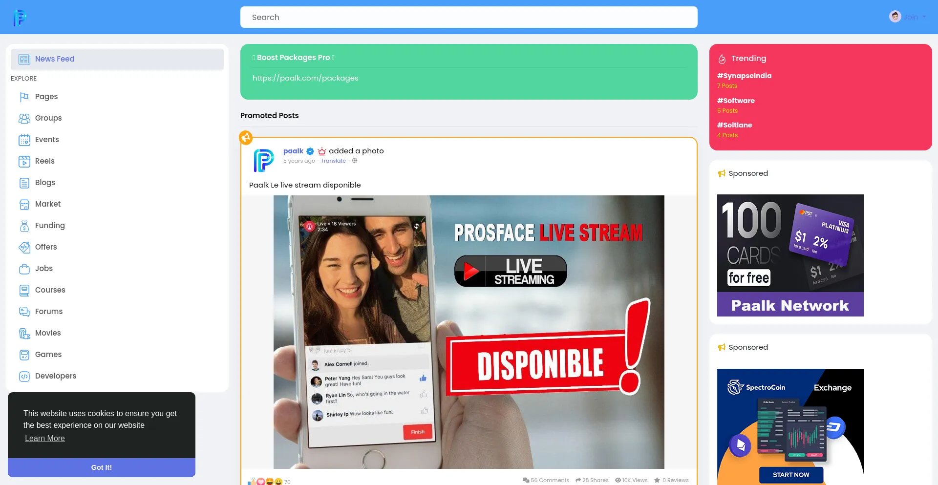Website screenshot of Paalk.com