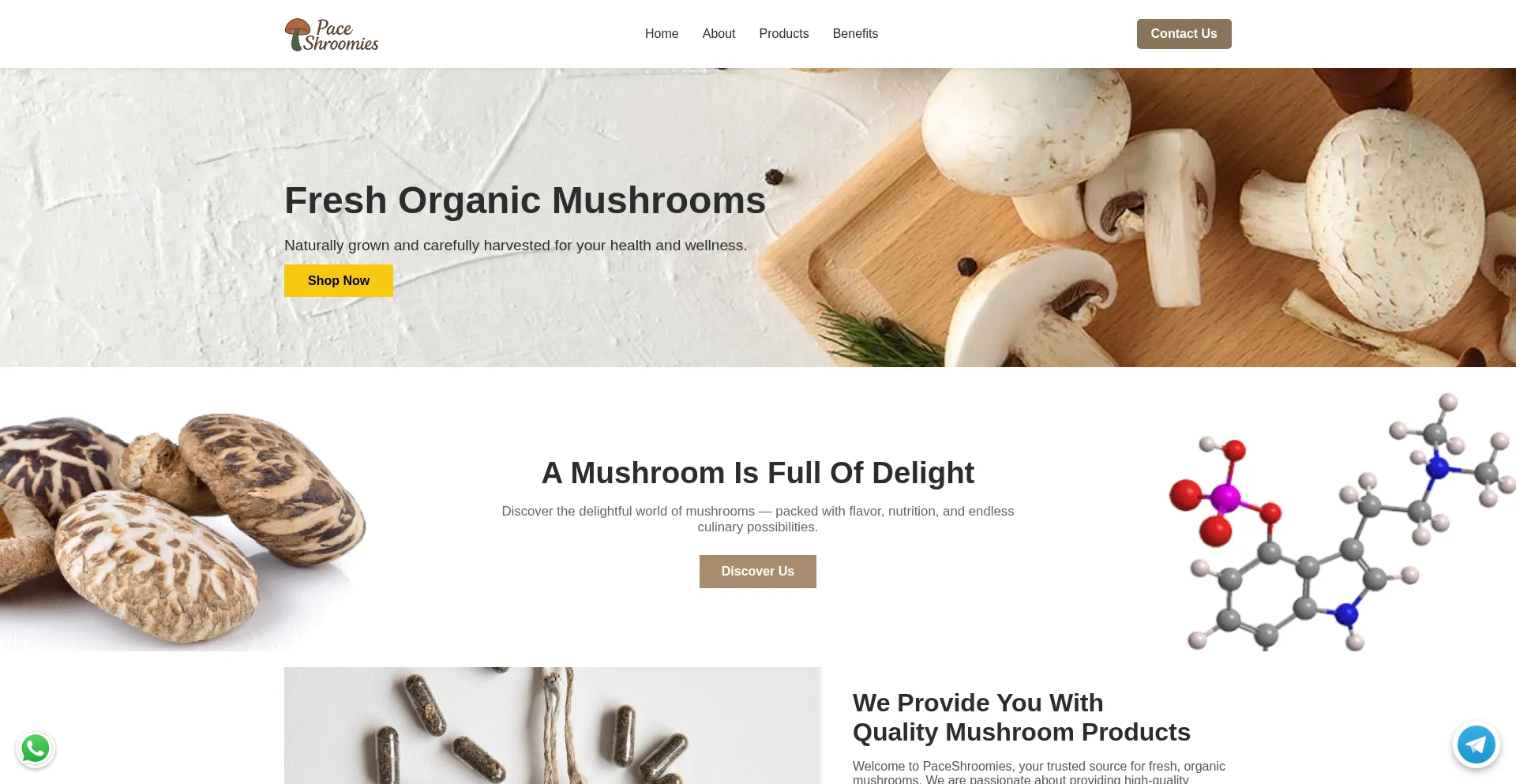 Website screenshot of Paceshroomies.com