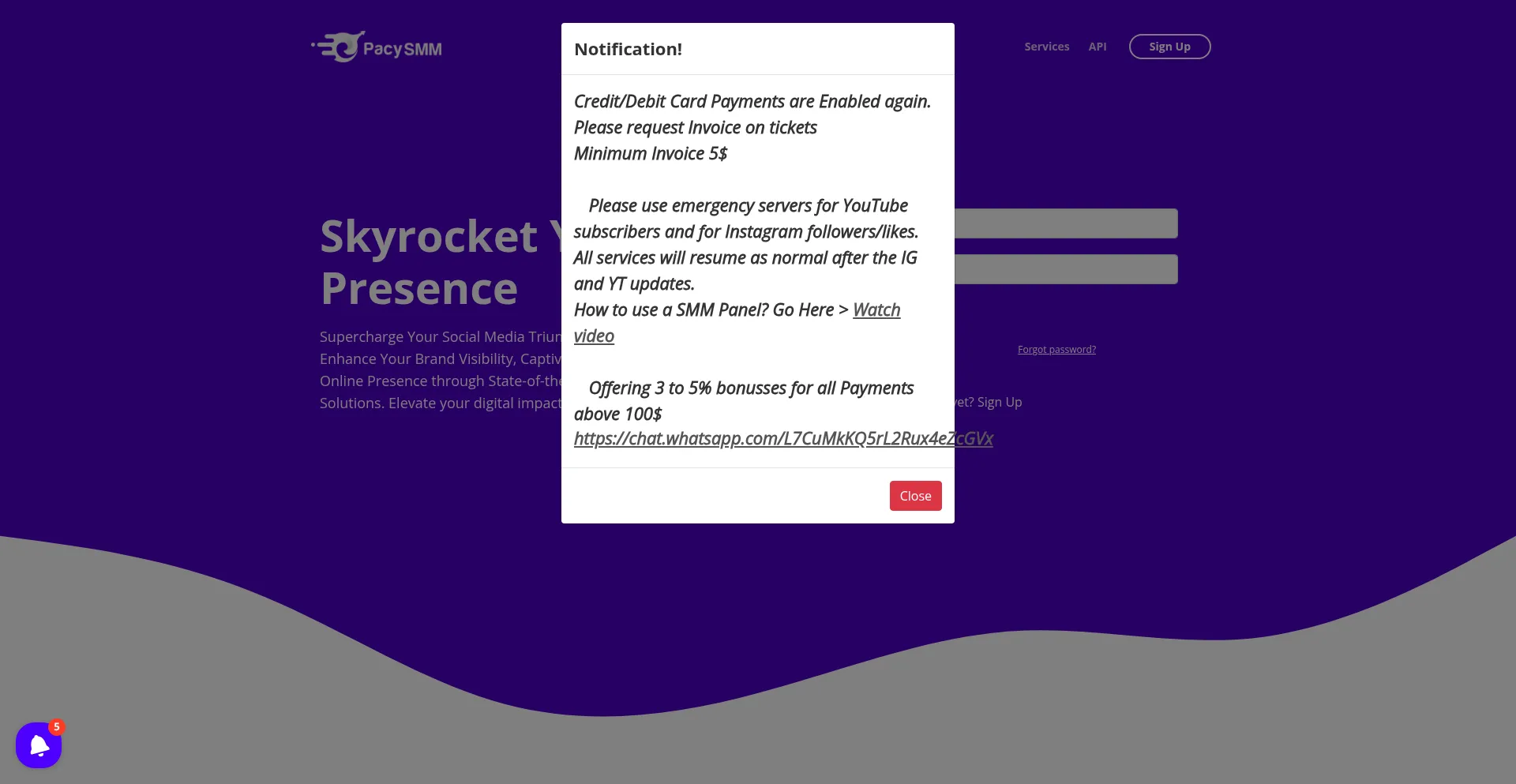 Website screenshot of Pacysmm.com