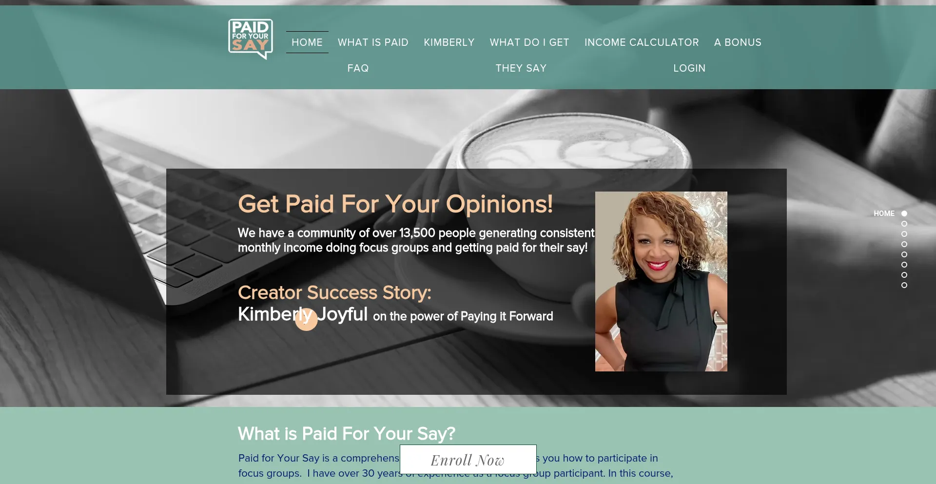 Website screenshot of Paidforyoursay.com