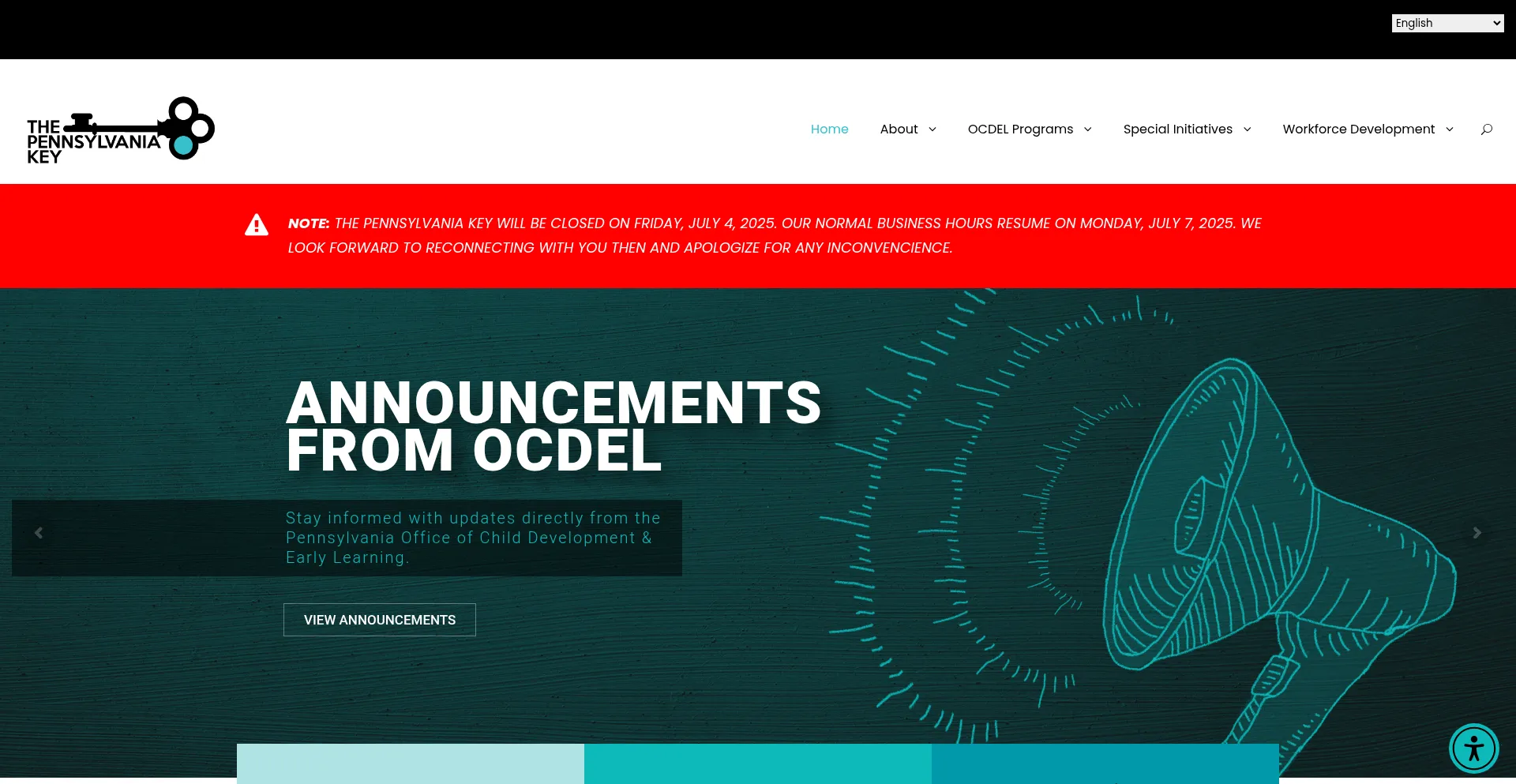 Website screenshot of Pakeys.org