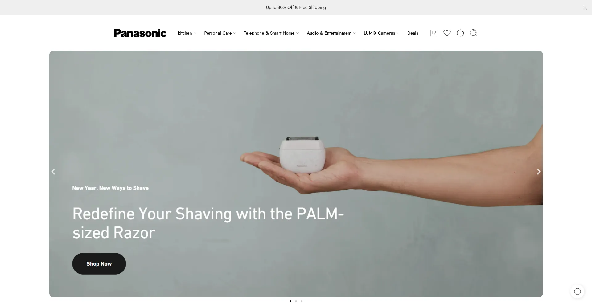 Website screenshot of Panasonictech.com