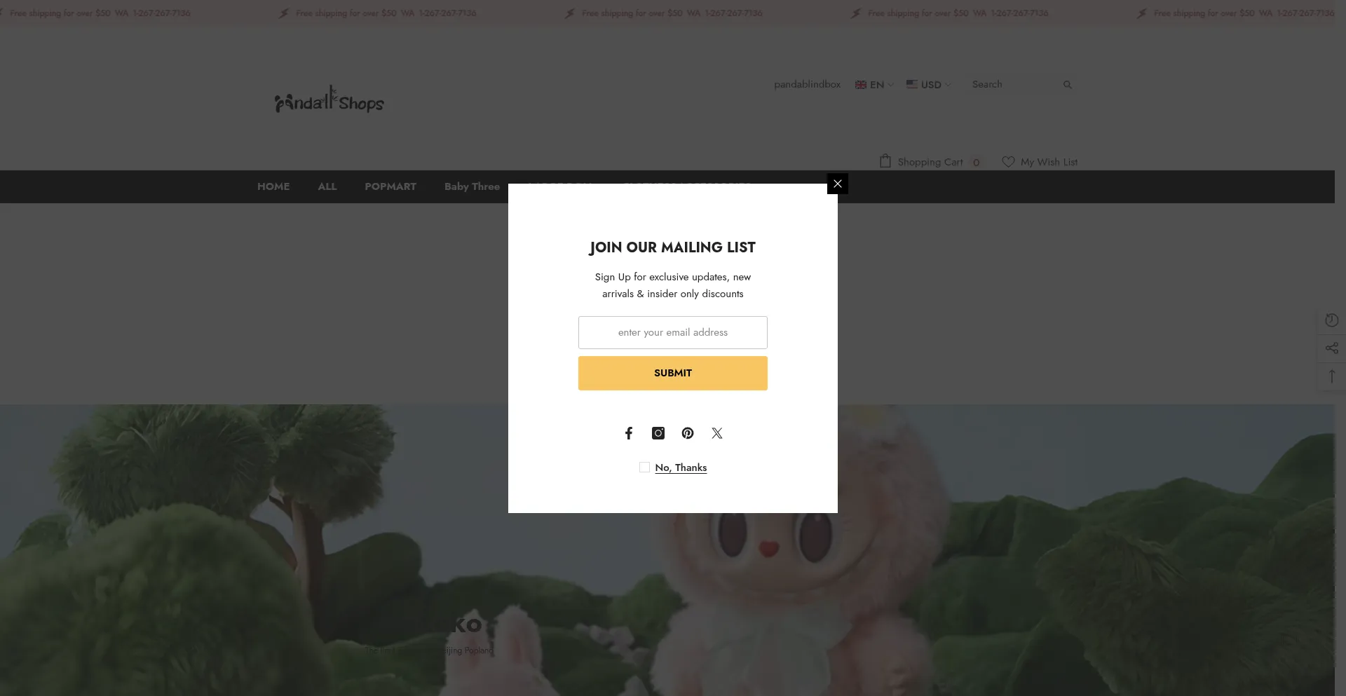 Website screenshot of Pandablindbox.com