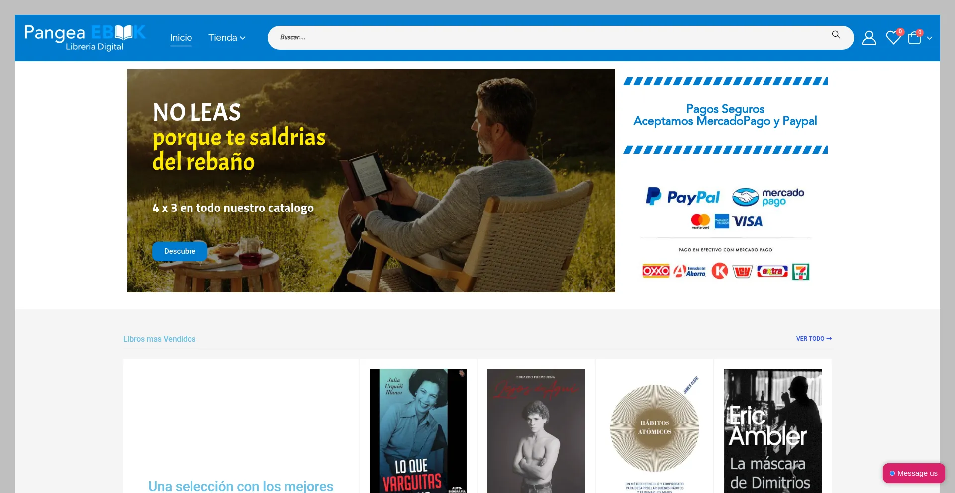 Website screenshot of Pangeaebook.mx