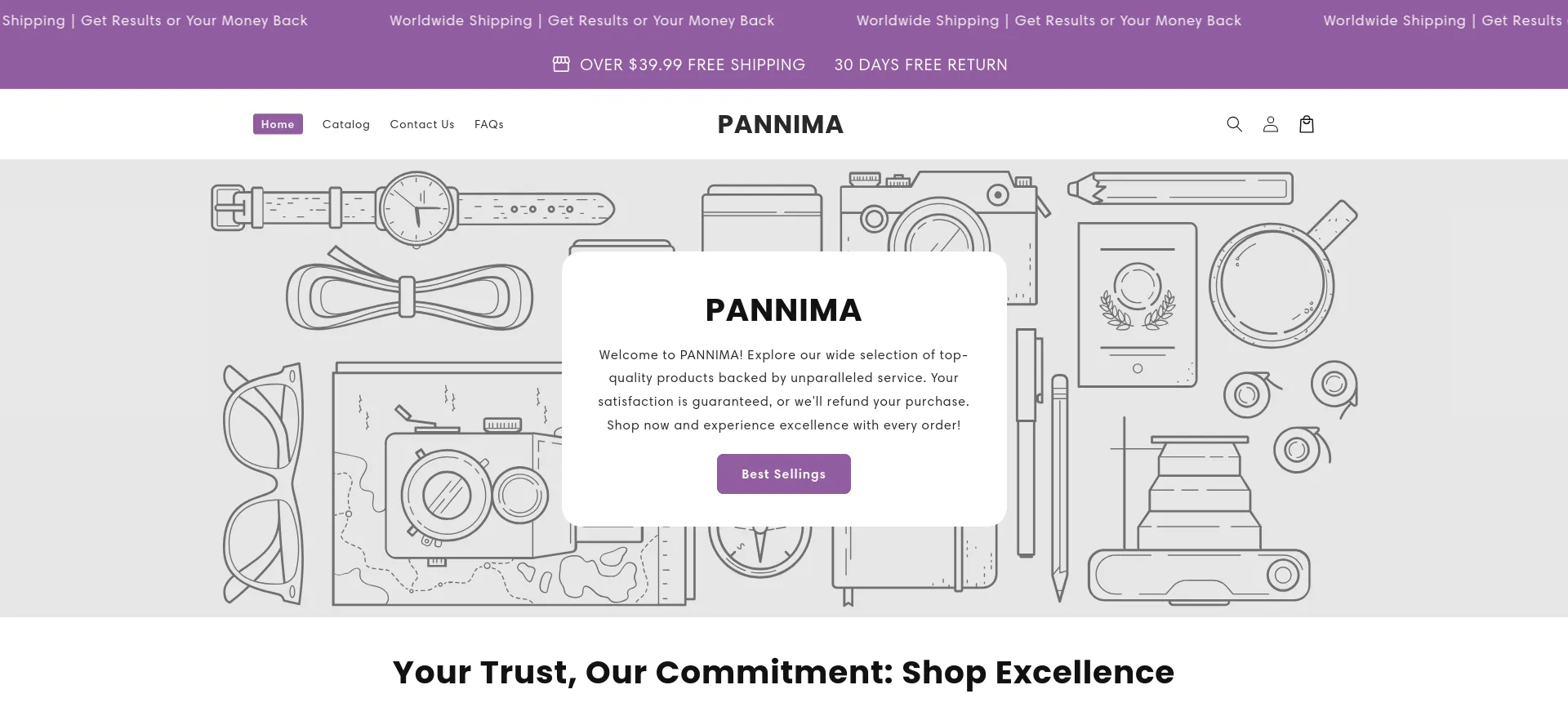 Website screenshot of Pannima.com