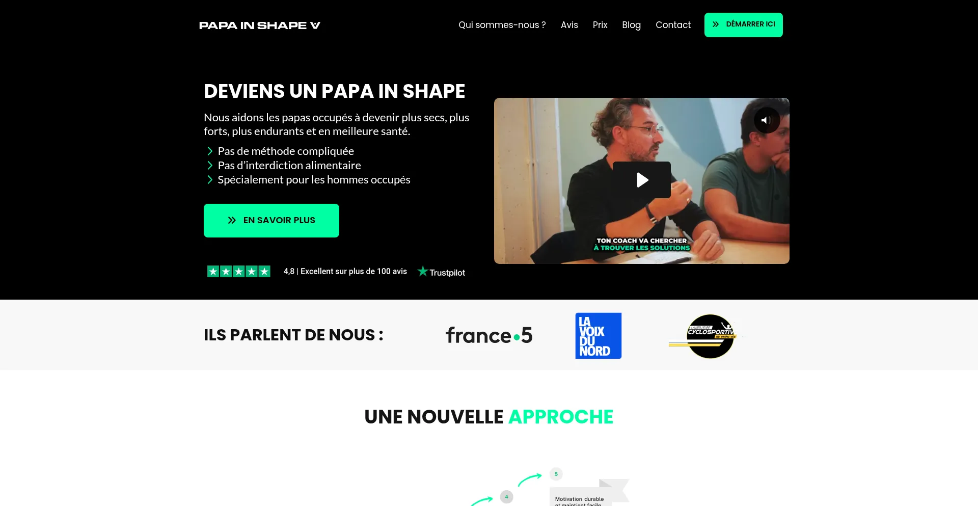 Website screenshot of Papainshape.com