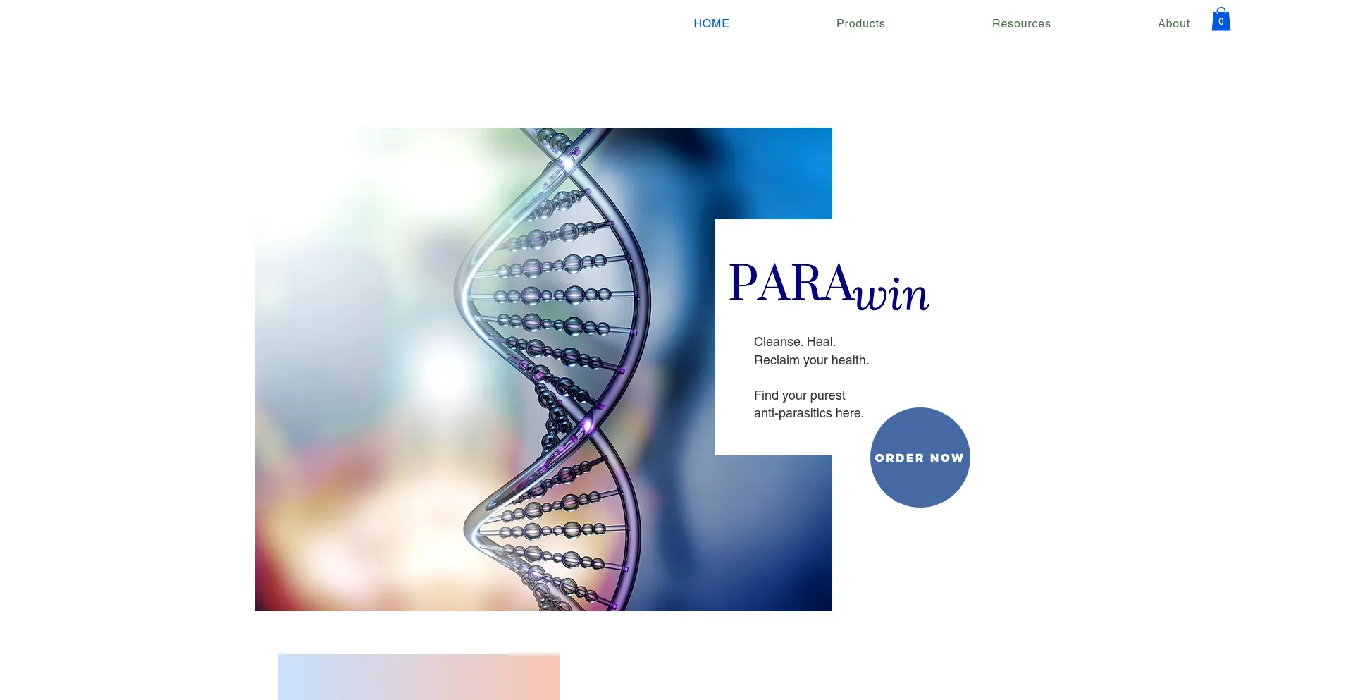 Website screenshot of Para-win.com