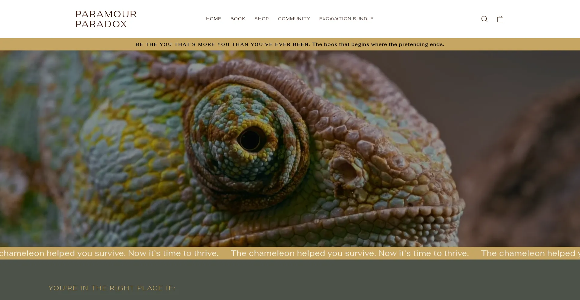 Website screenshot of Paramourparadox.com